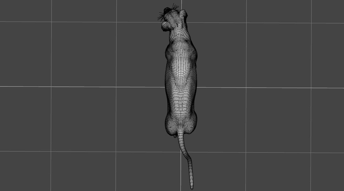 BIG ANIMAL PACK 3D model_24