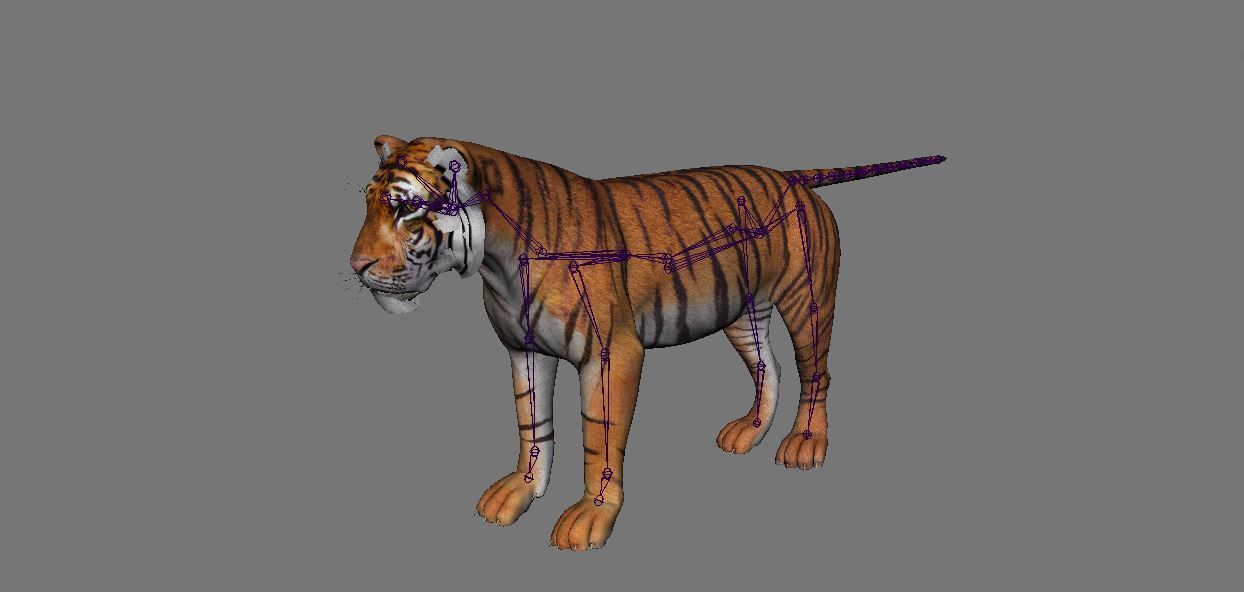 BIG ANIMAL PACK 3D model_29