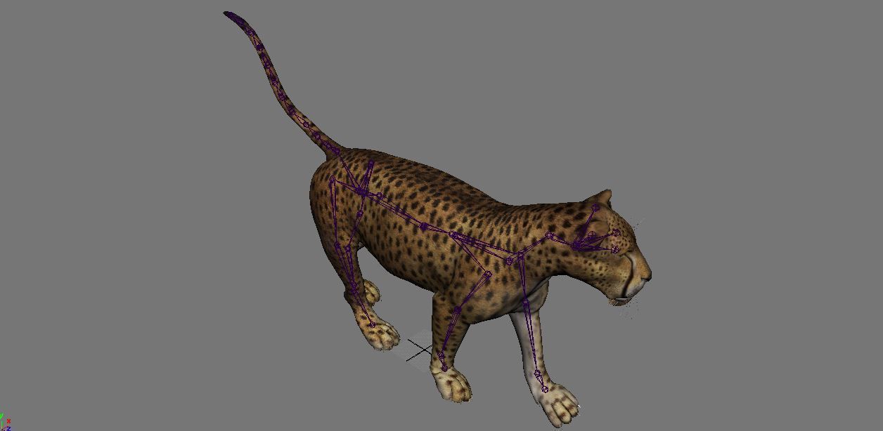 BIG ANIMAL PACK 3D model_18