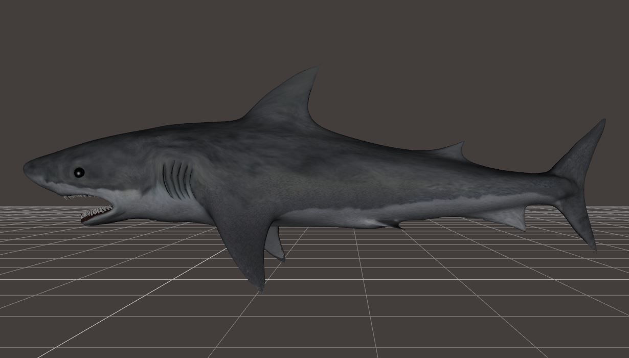 BIG ANIMAL PACK 3D model_40