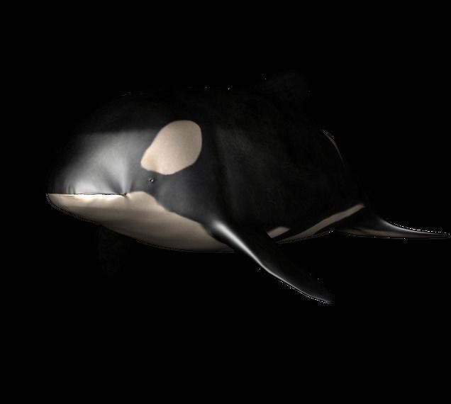 BIG ANIMAL PACK 3D model_15