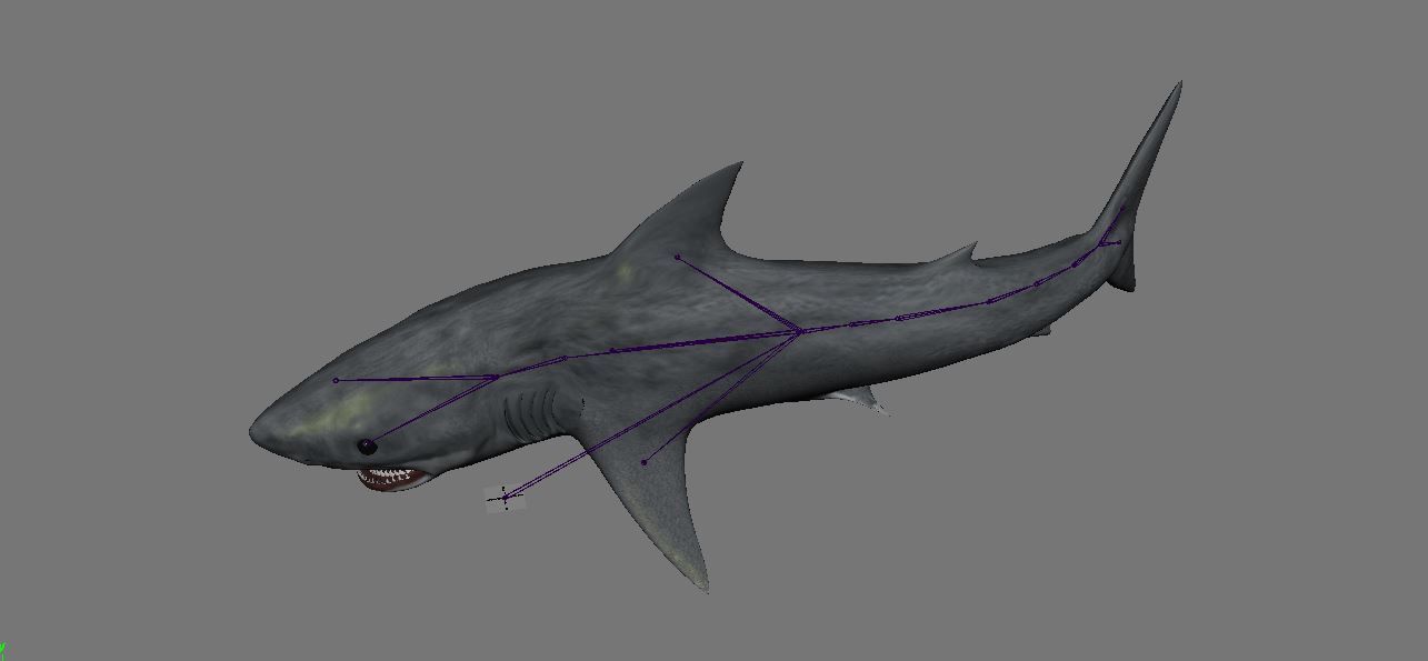 BIG ANIMAL PACK 3D model_37