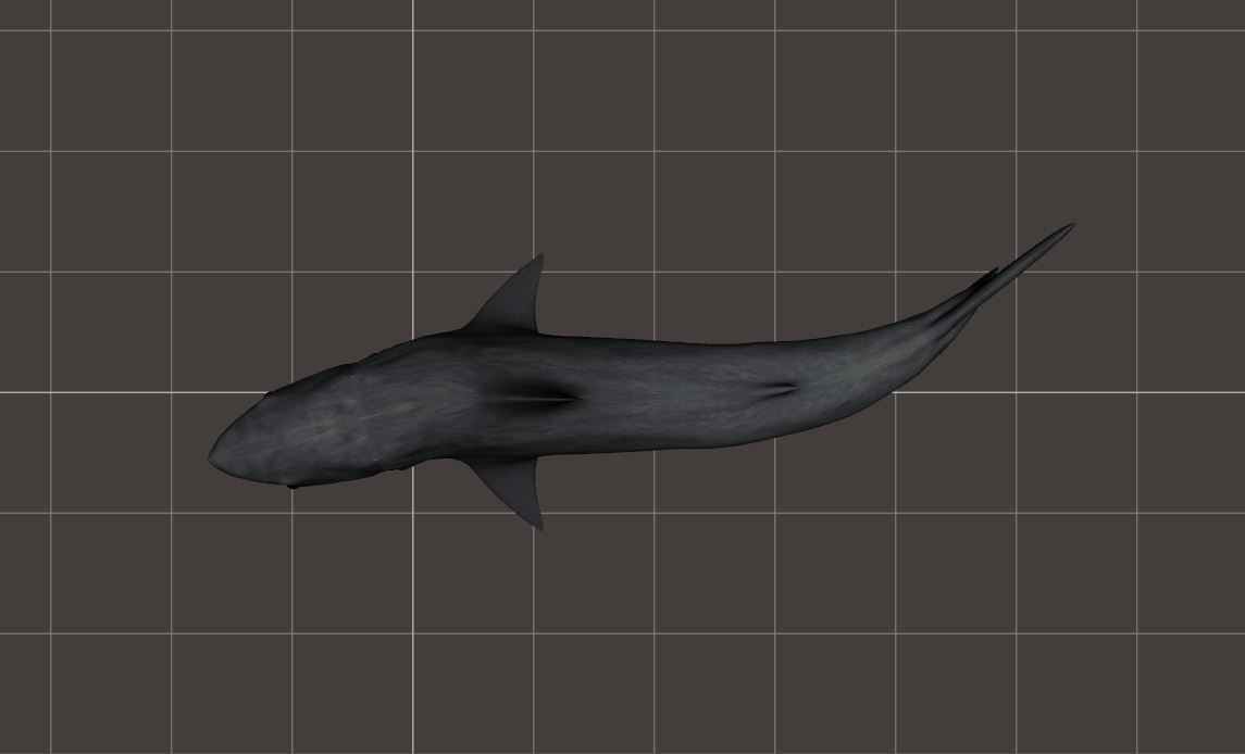 BIG ANIMAL PACK 3D model_41