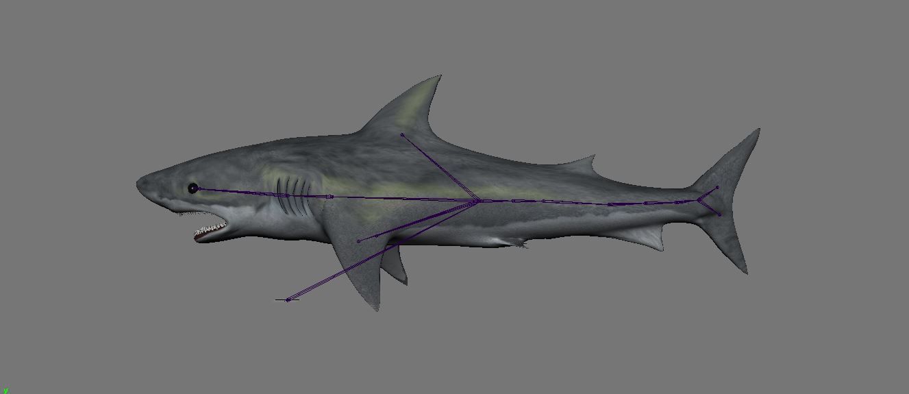 BIG ANIMAL PACK 3D model_38