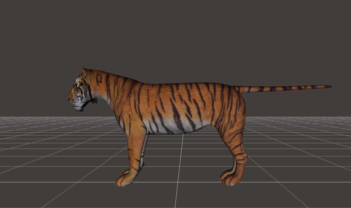 BIG ANIMAL PACK 3D model_30