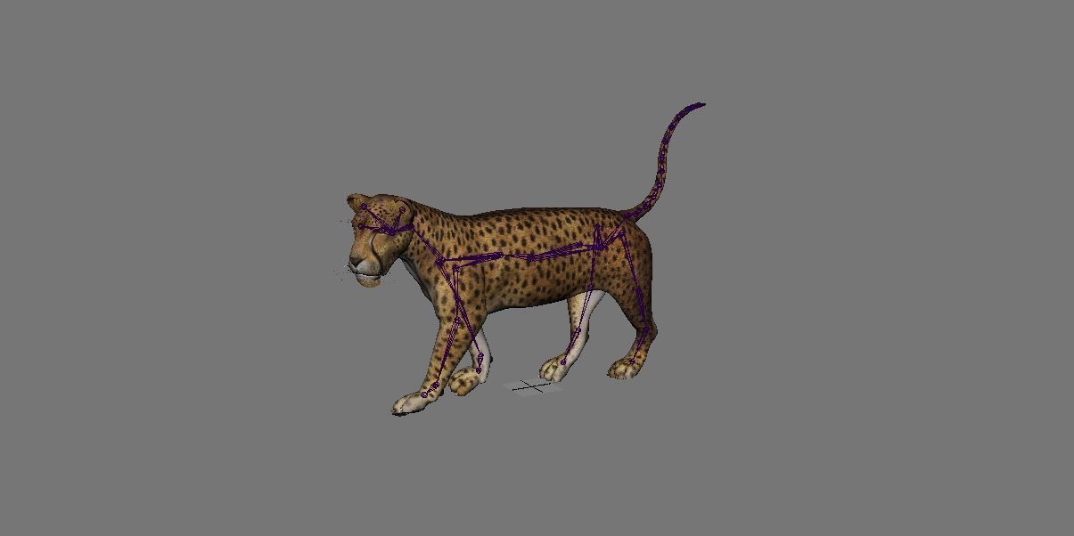 BIG ANIMAL PACK 3D model_16