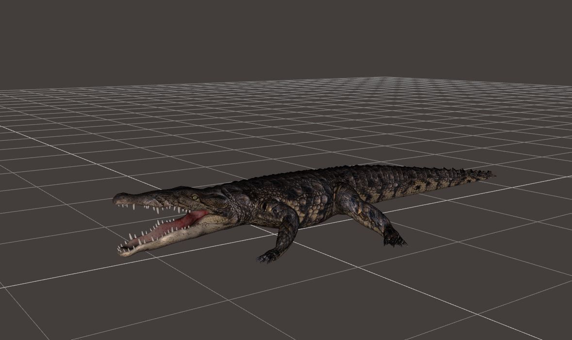 BIG ANIMAL PACK 3D model_5