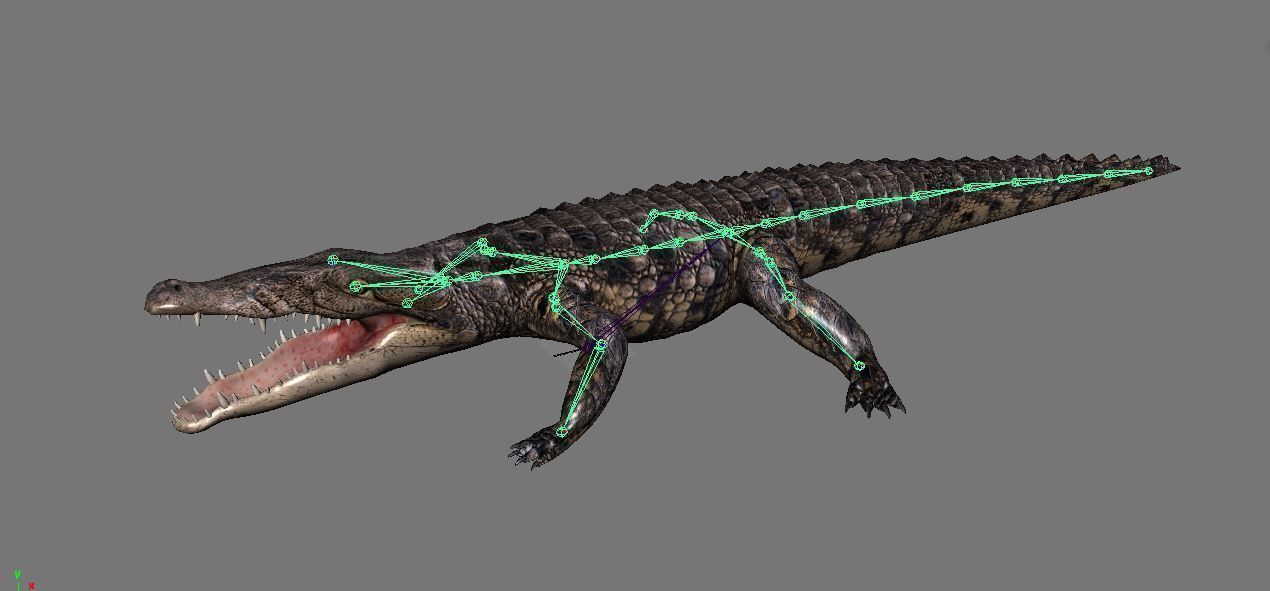 BIG ANIMAL PACK 3D model_2