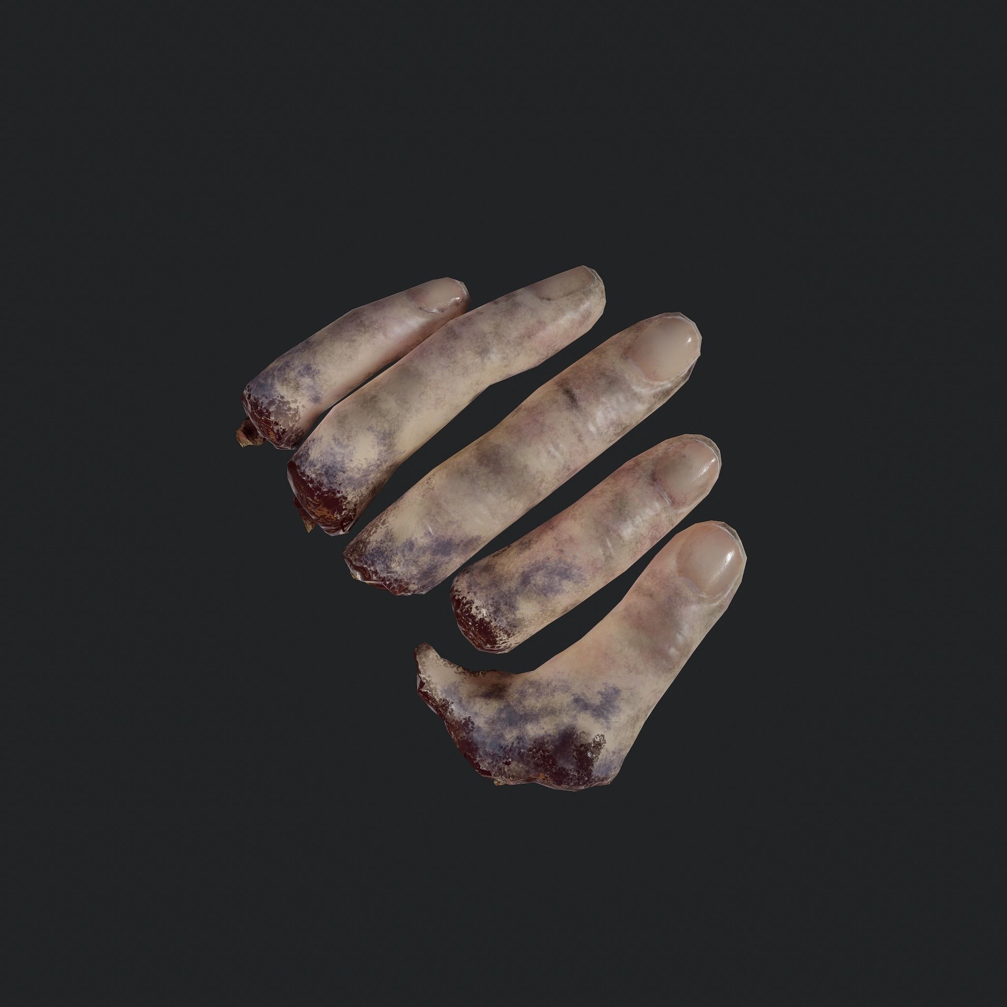 Severed Fingers  Low-poly 3D model_20