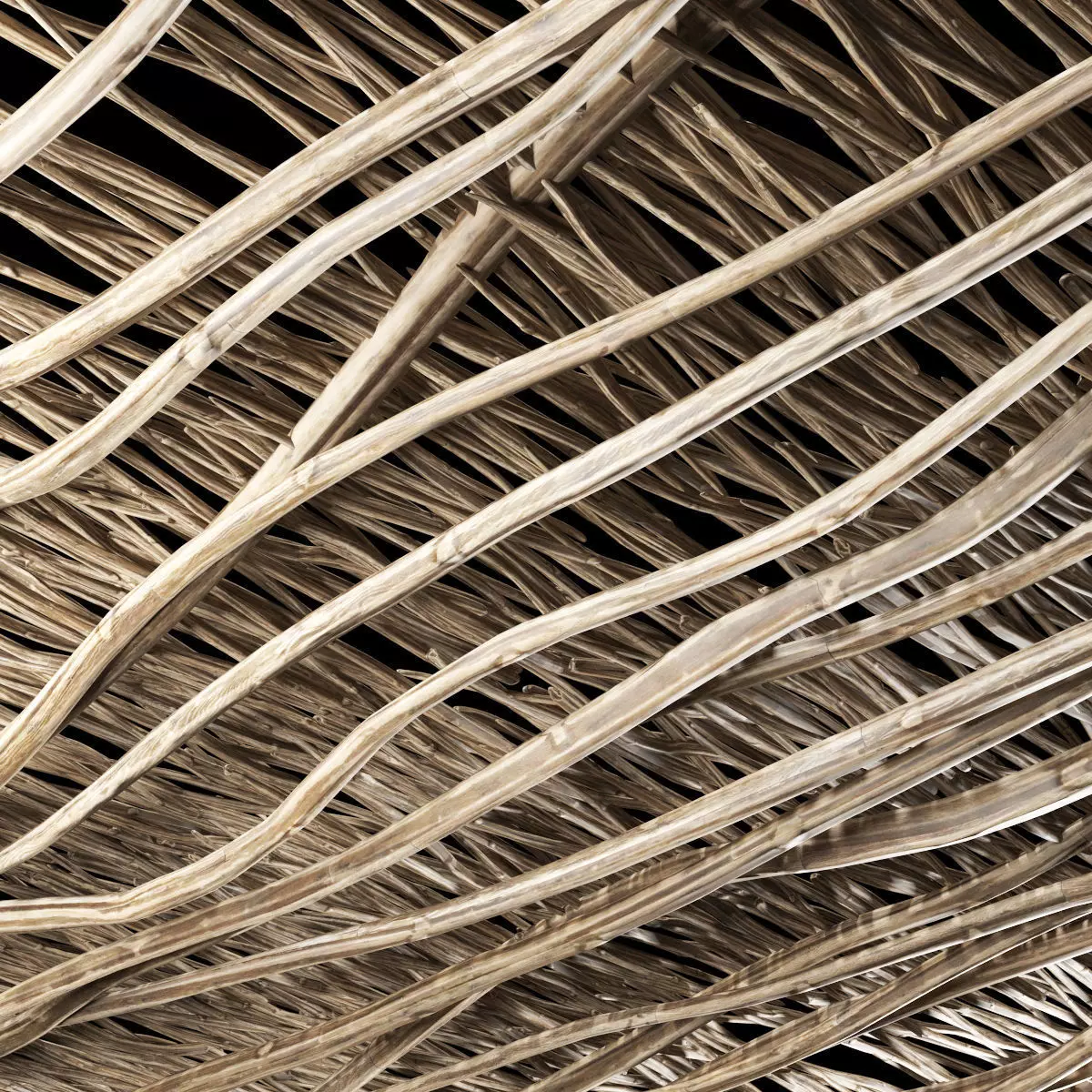 Ceiling crooked branch n2 3D model