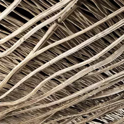 Ceiling crooked branch n2 3D model