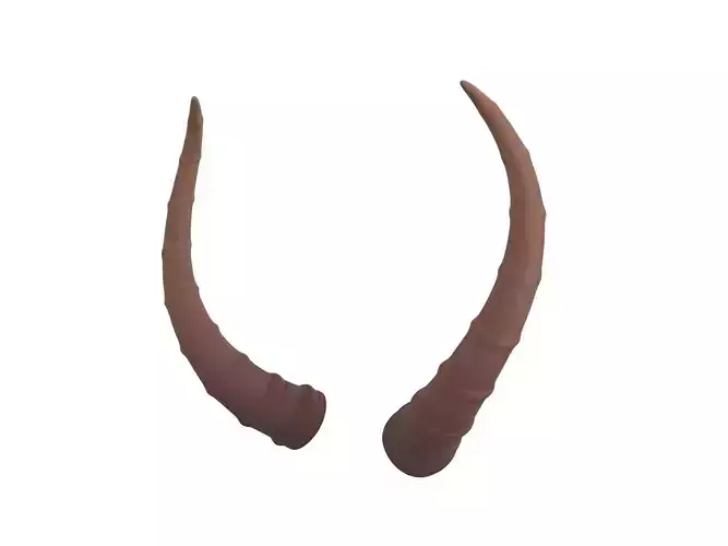 Antelope Horn