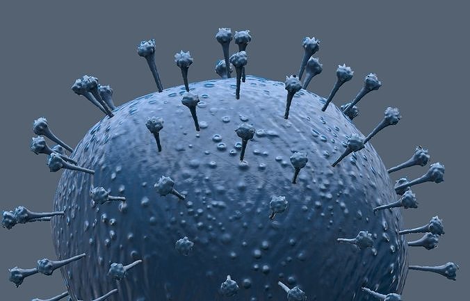 COVID 2019 virus Free 3D model
