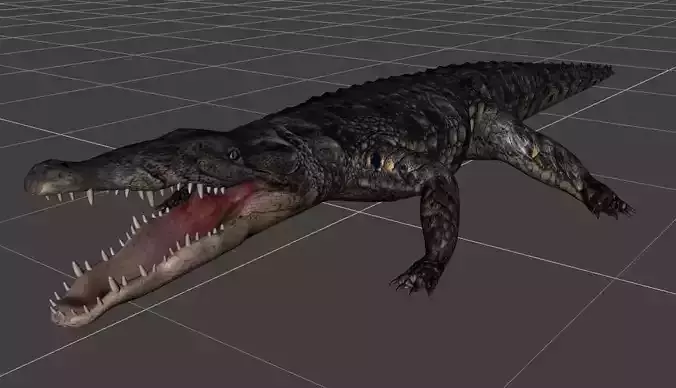 A Crocodile realistic 3d model alligator 3D model