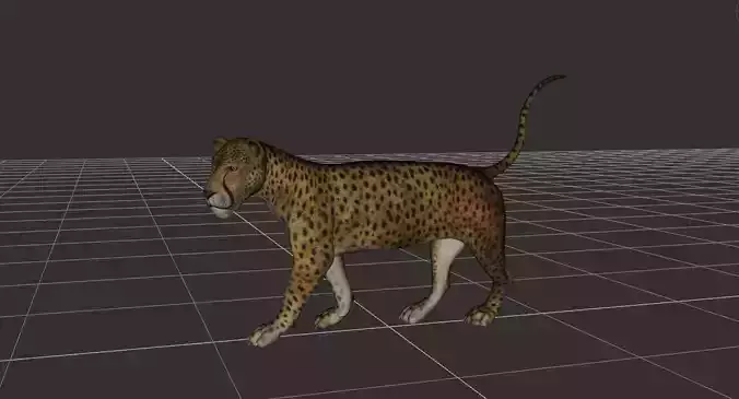 ultimate leopard Rigged 1 3D model