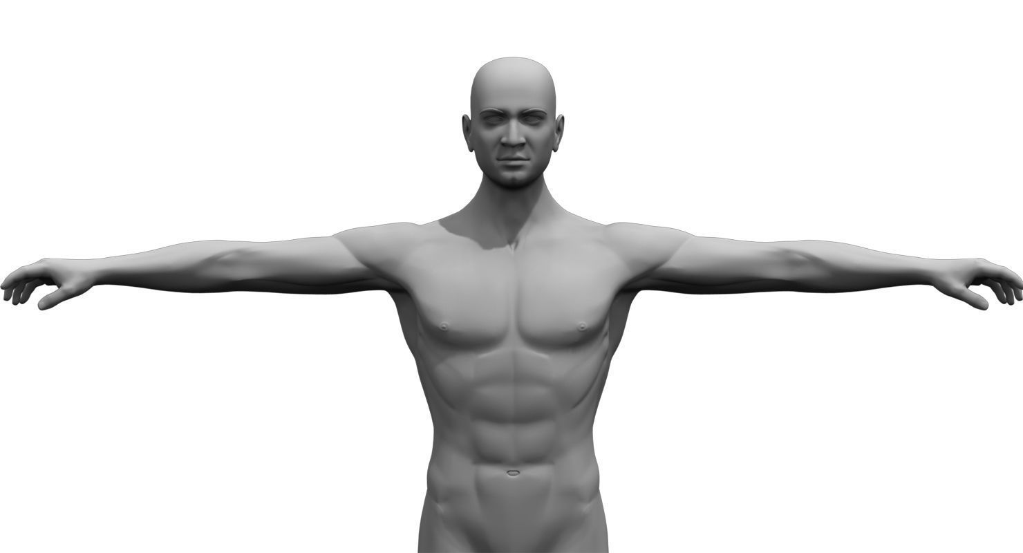 human body 3d model 3D model_3