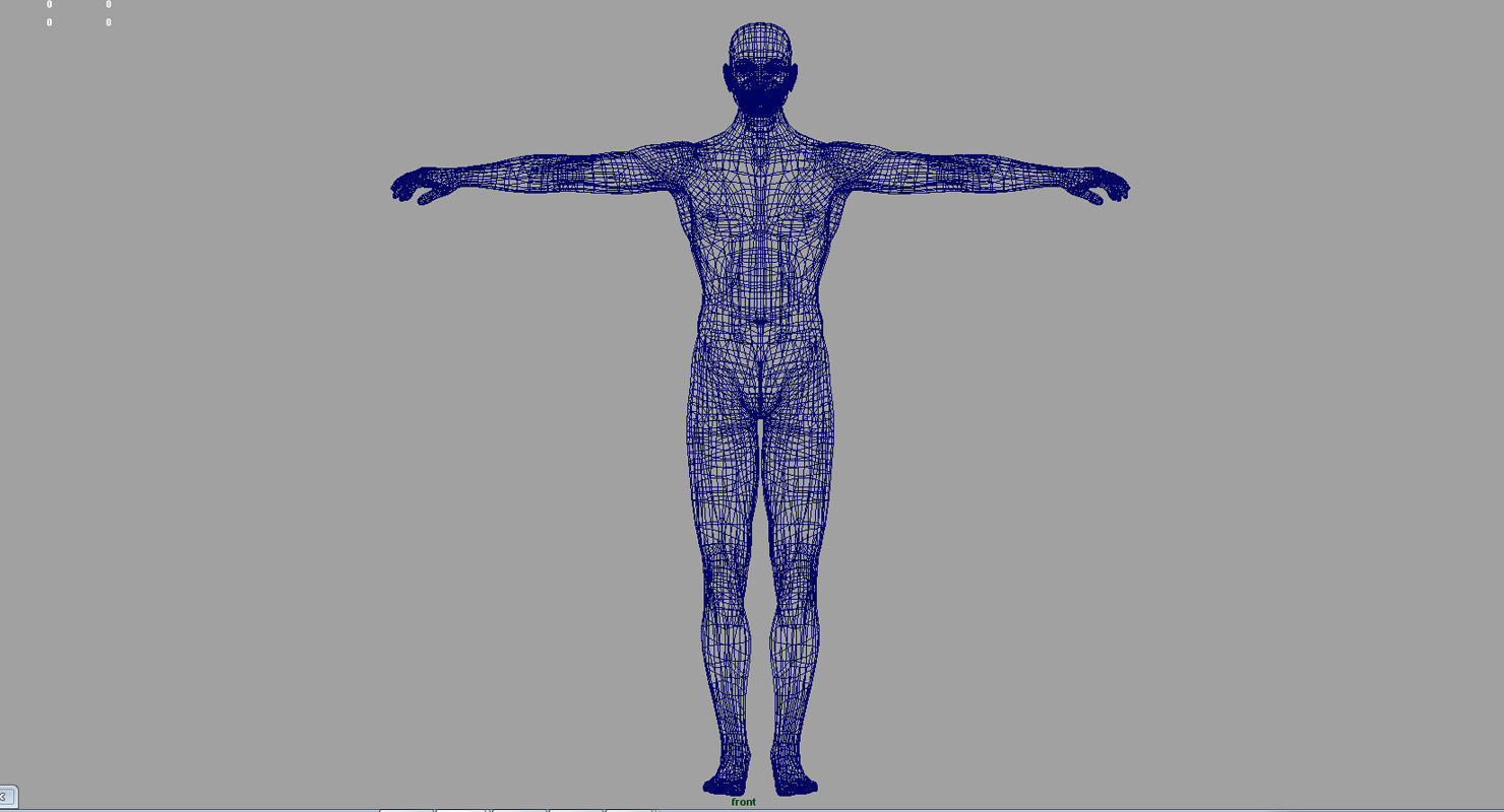 human body 3d model 3D model_8