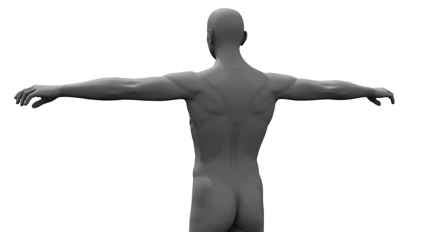 human body 3d model 3D model_5