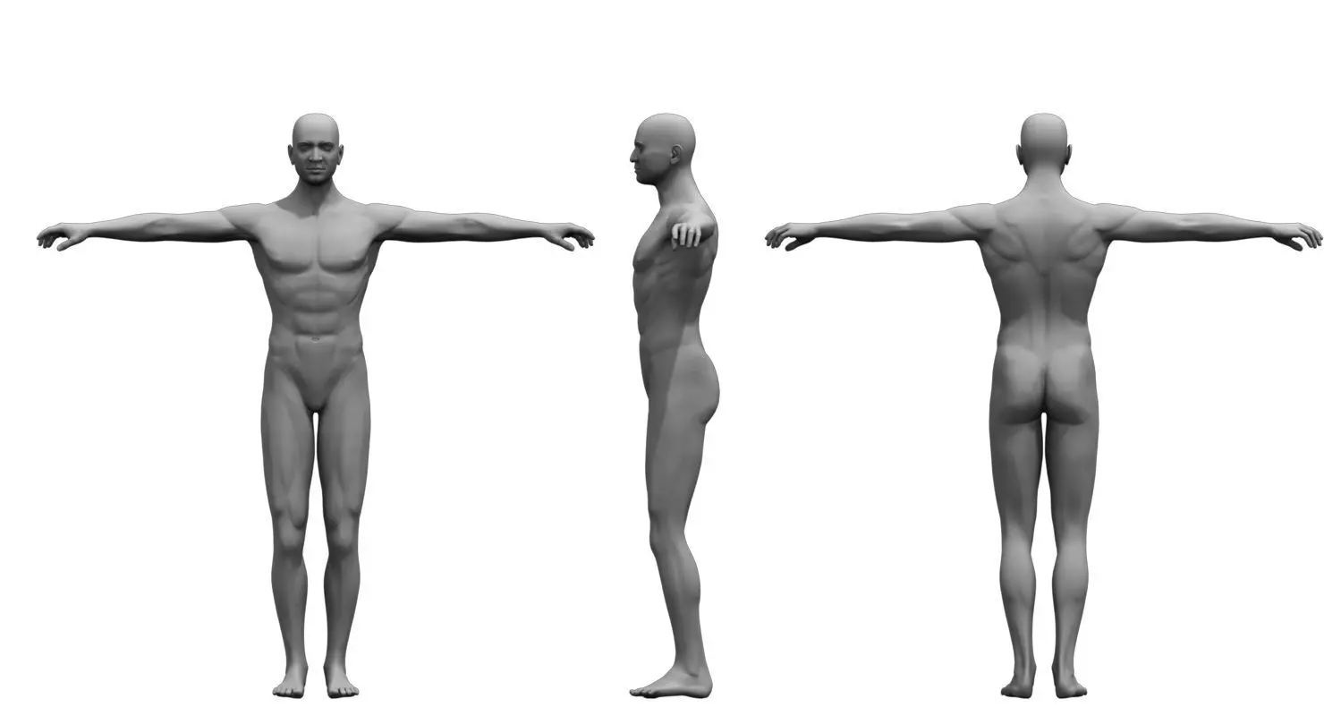 human body 3d model 3D model_0