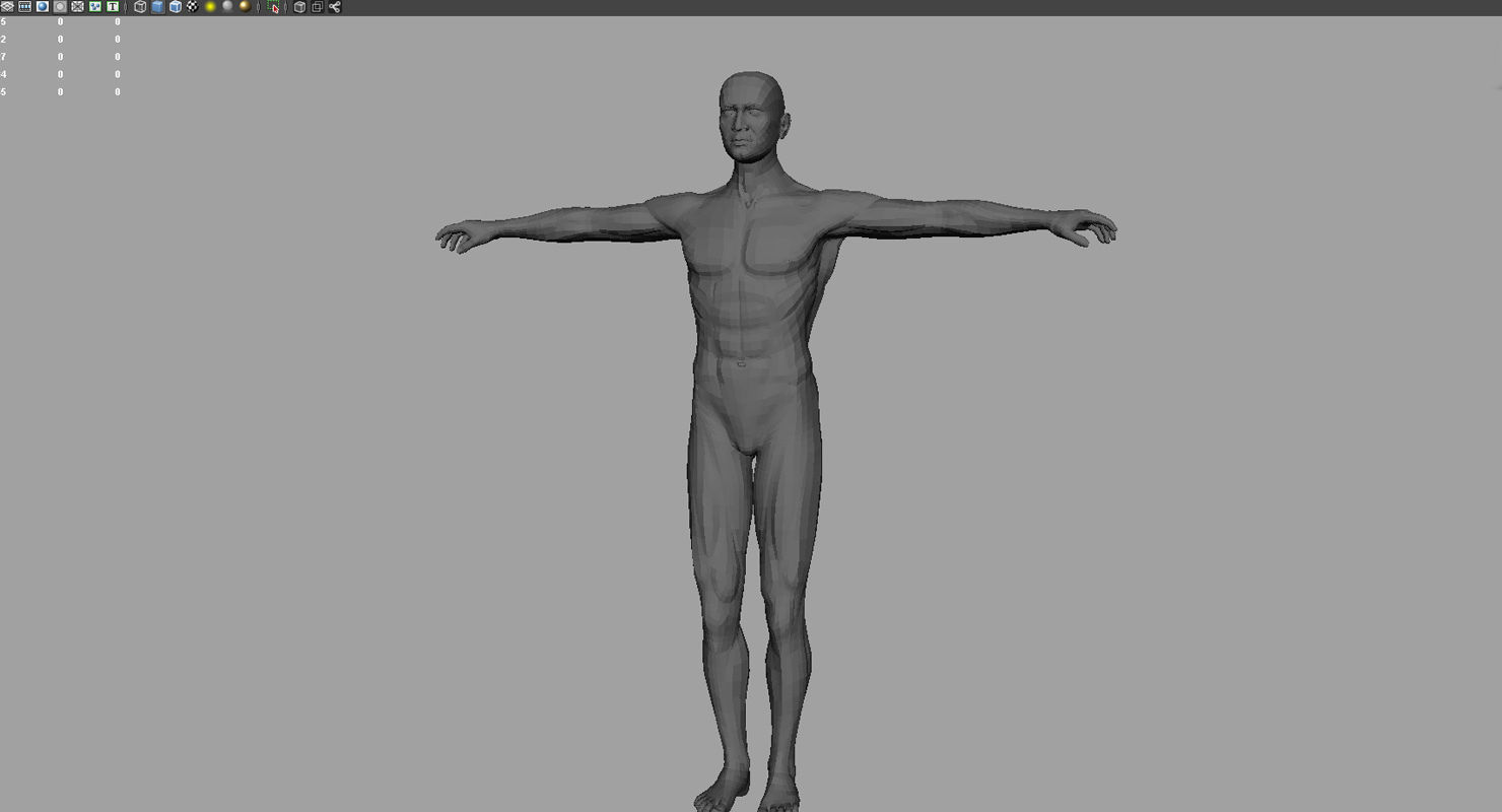 human body 3d model 3D model_2