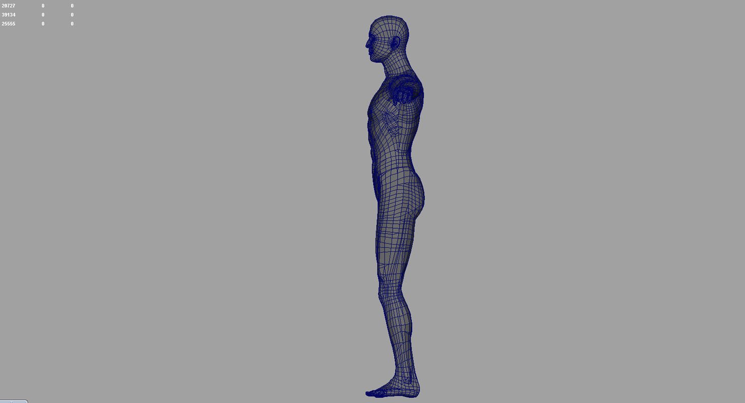 human body 3d model 3D model_10