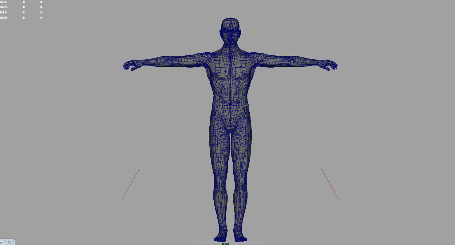 human body 3d model 3D model_7