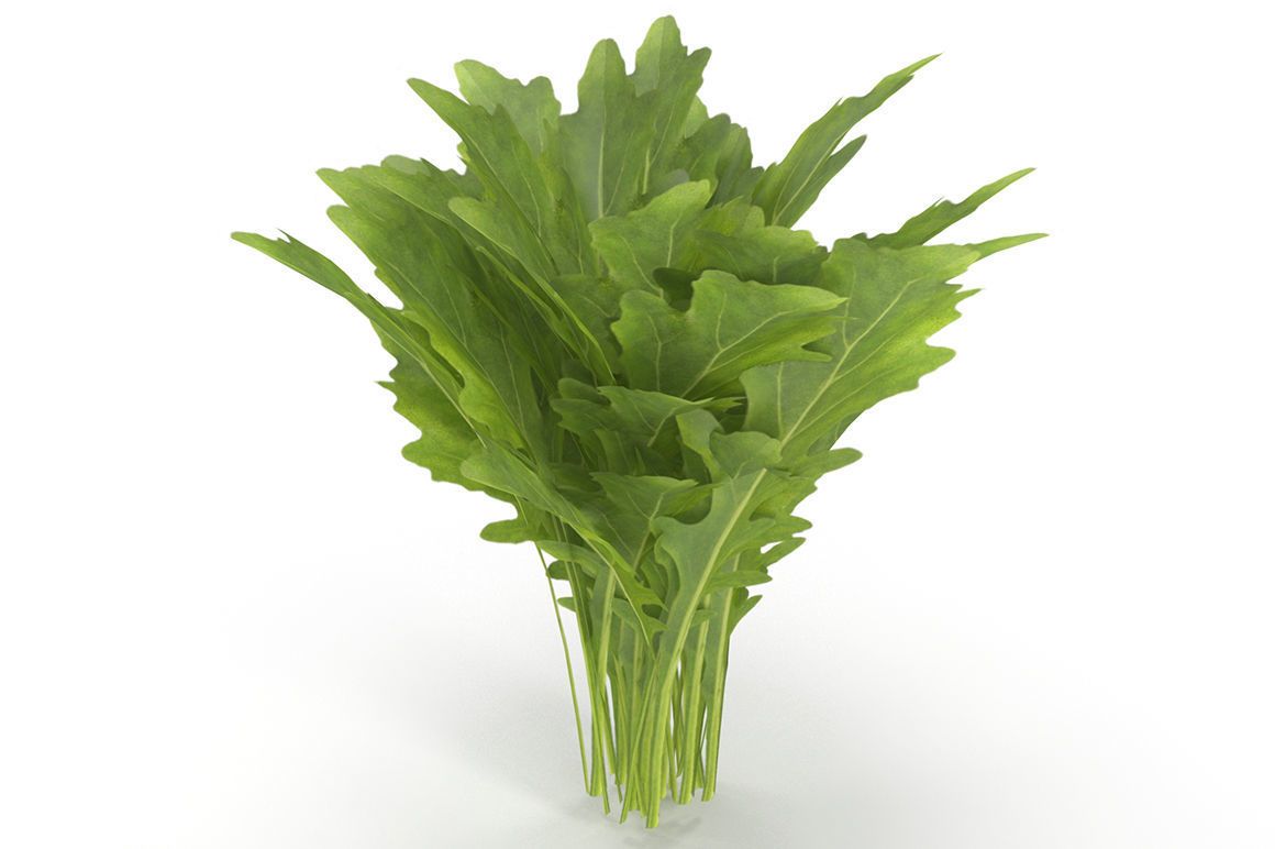 Arugula Bunch 3D model_2