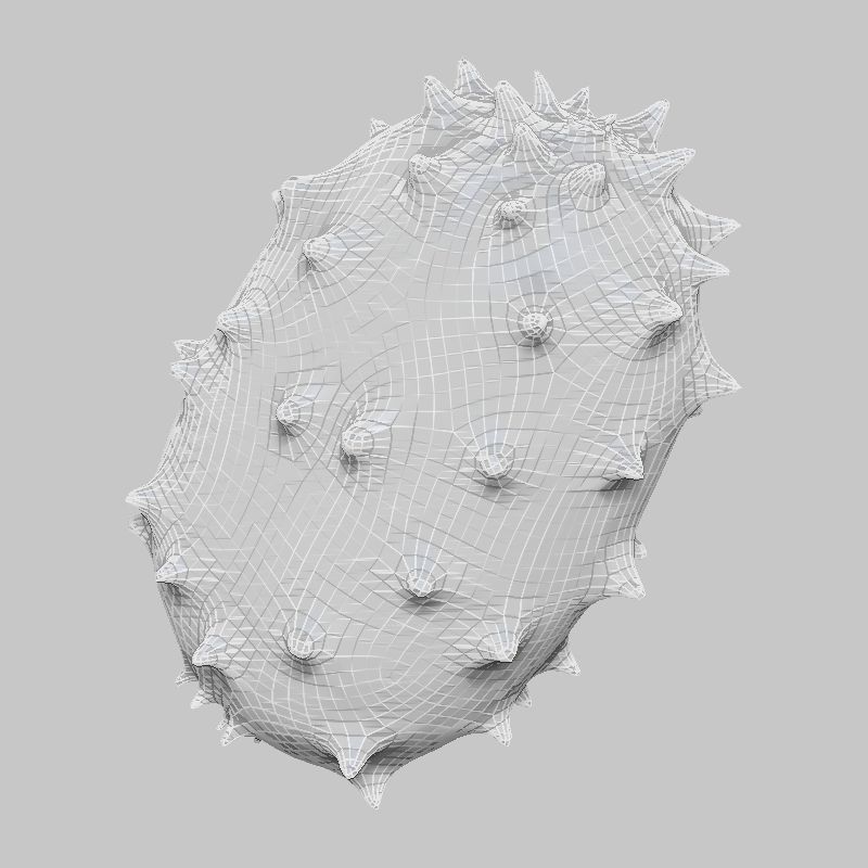 25 Fruits and Vegetables Collection Low-poly 3D model_10