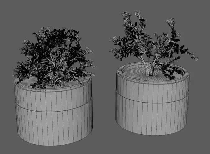 Classic Plants Pot 3D model