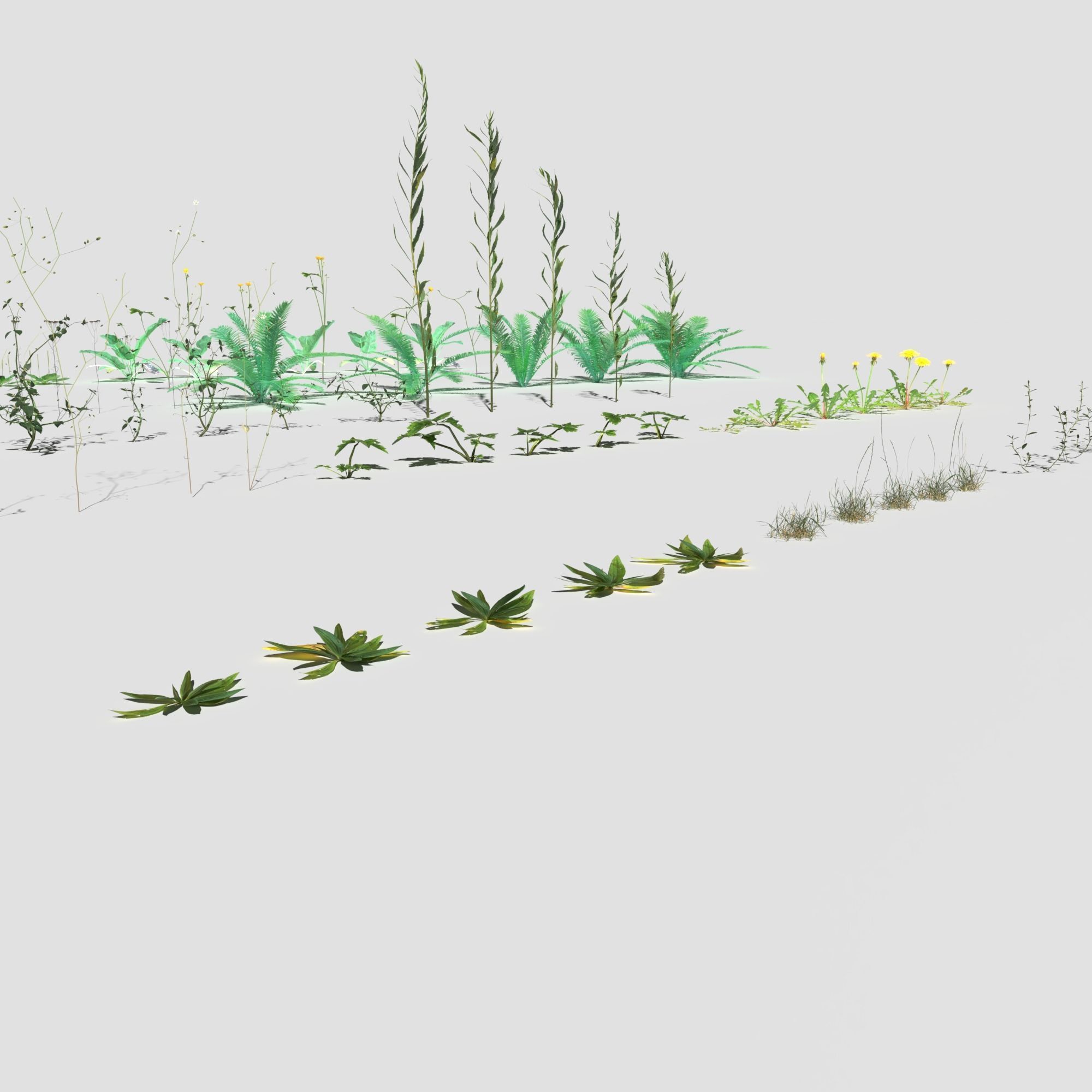Plant Pack Meadow 3D model_17