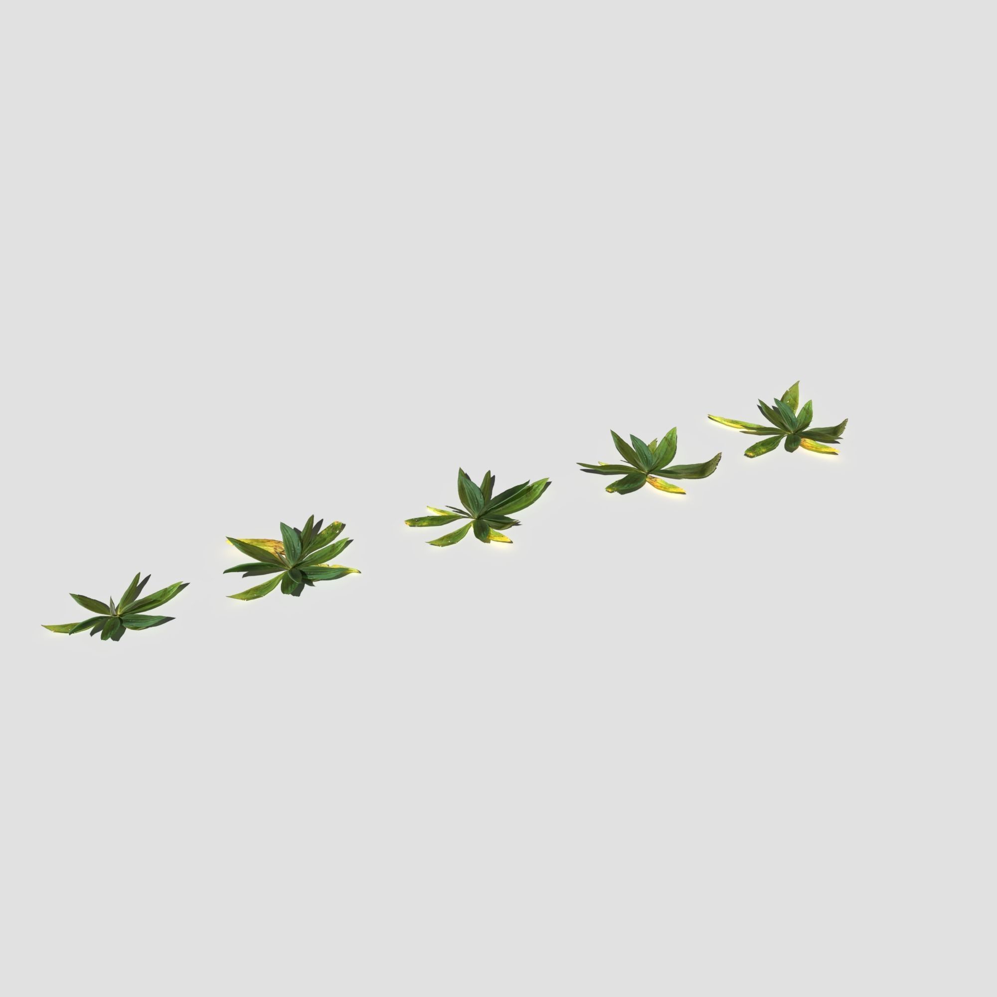 Plant Pack Meadow 3D model_52