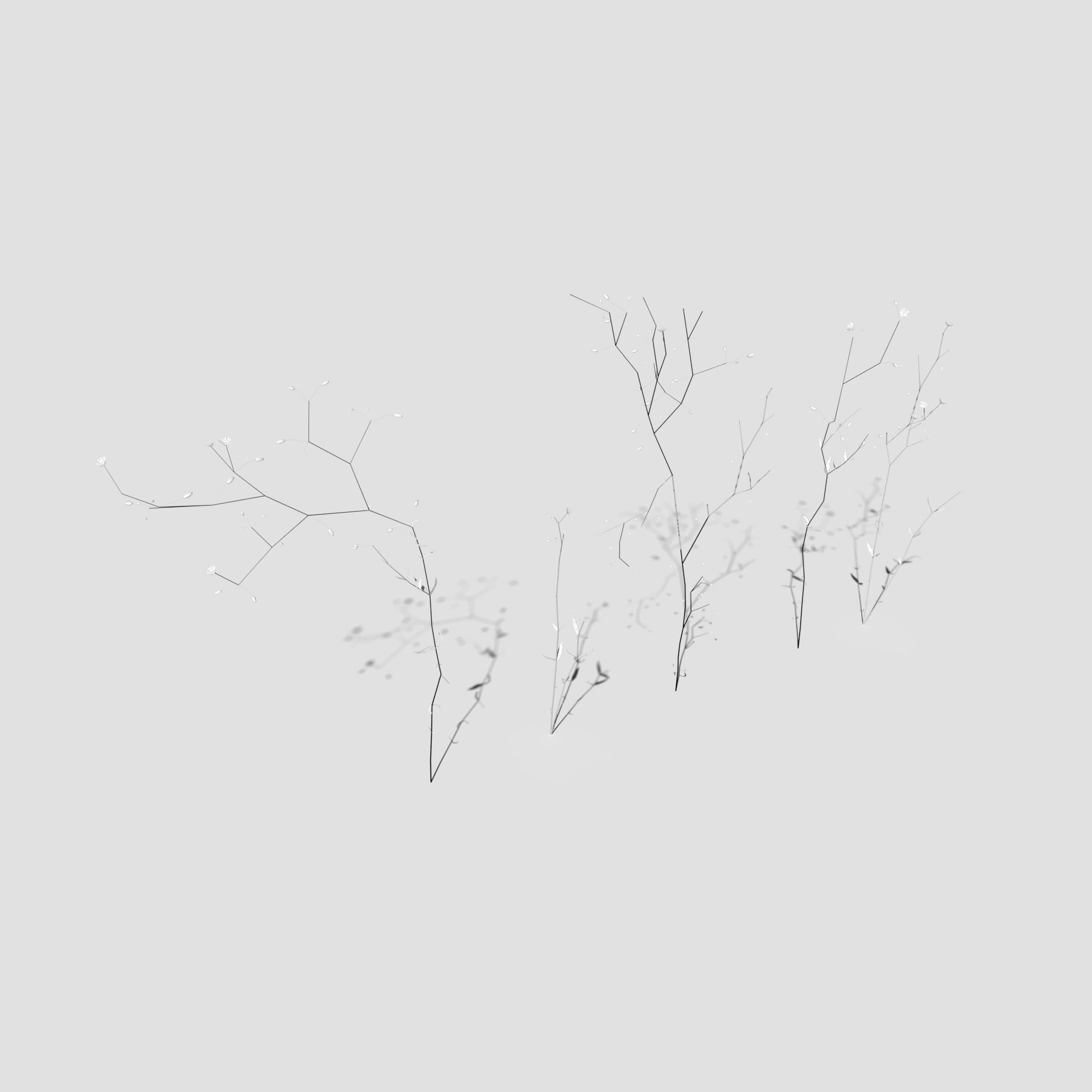 Plant Pack Meadow 3D model_47