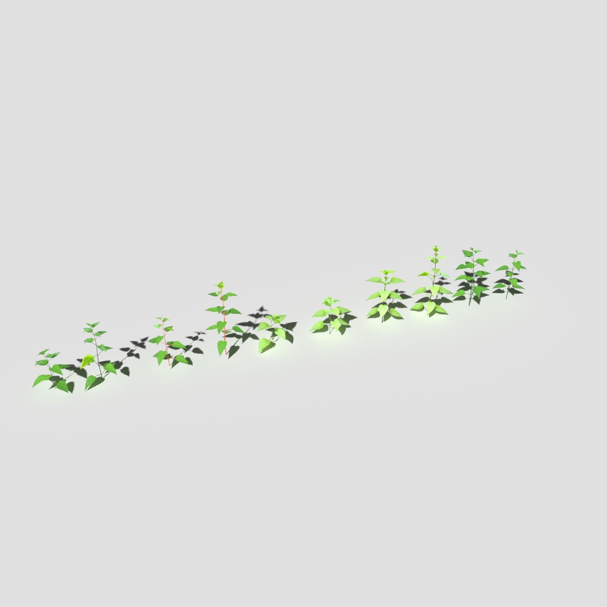 Plant Pack Meadow 3D model_58