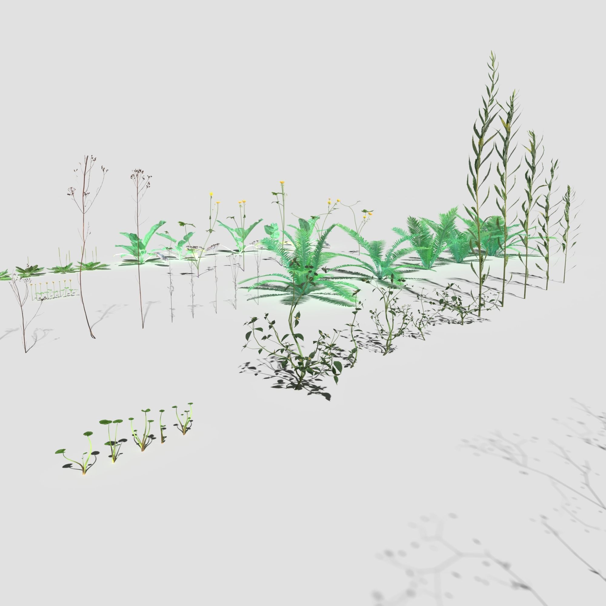 Plant Pack Meadow 3D model_15