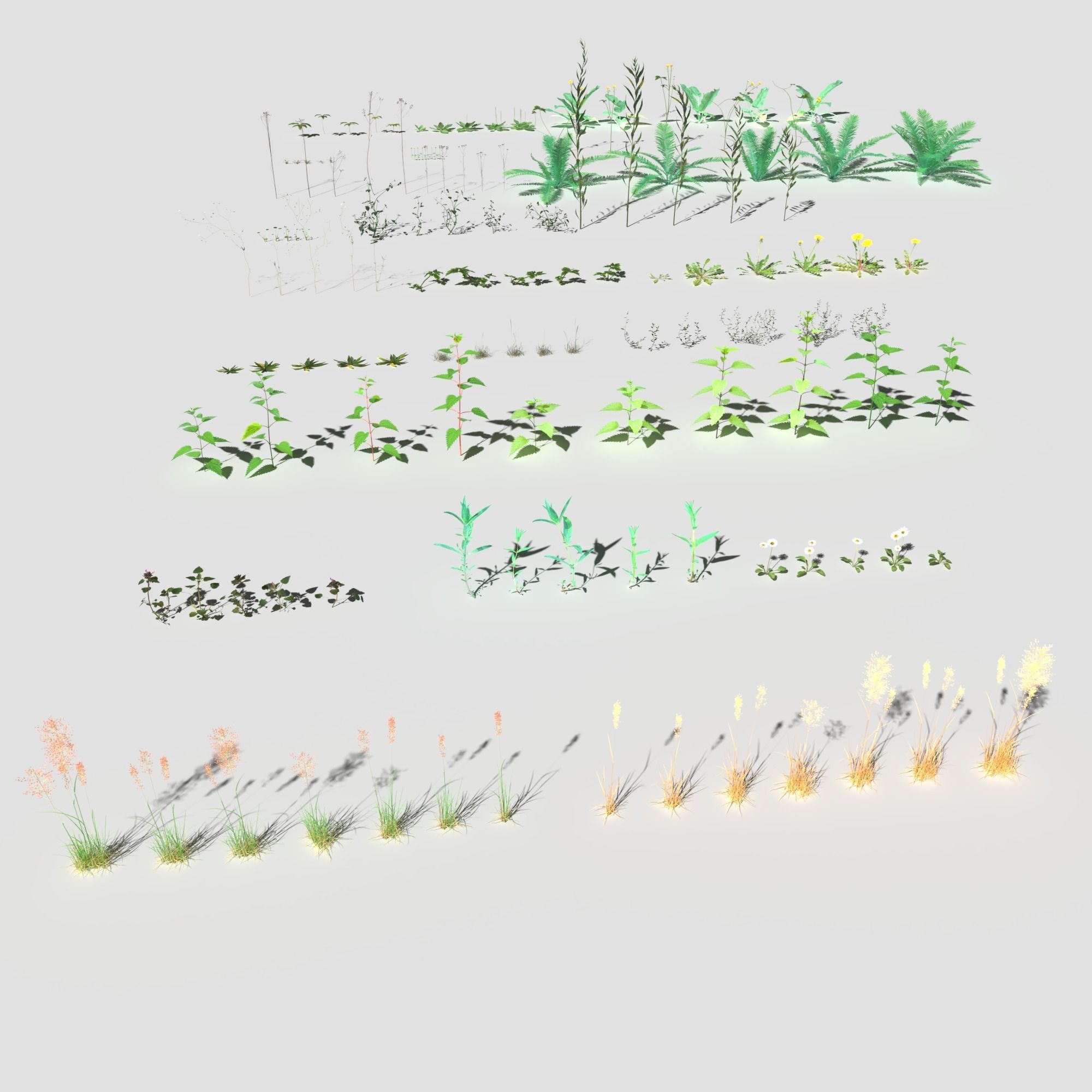 Plant Pack Meadow 3D model_5