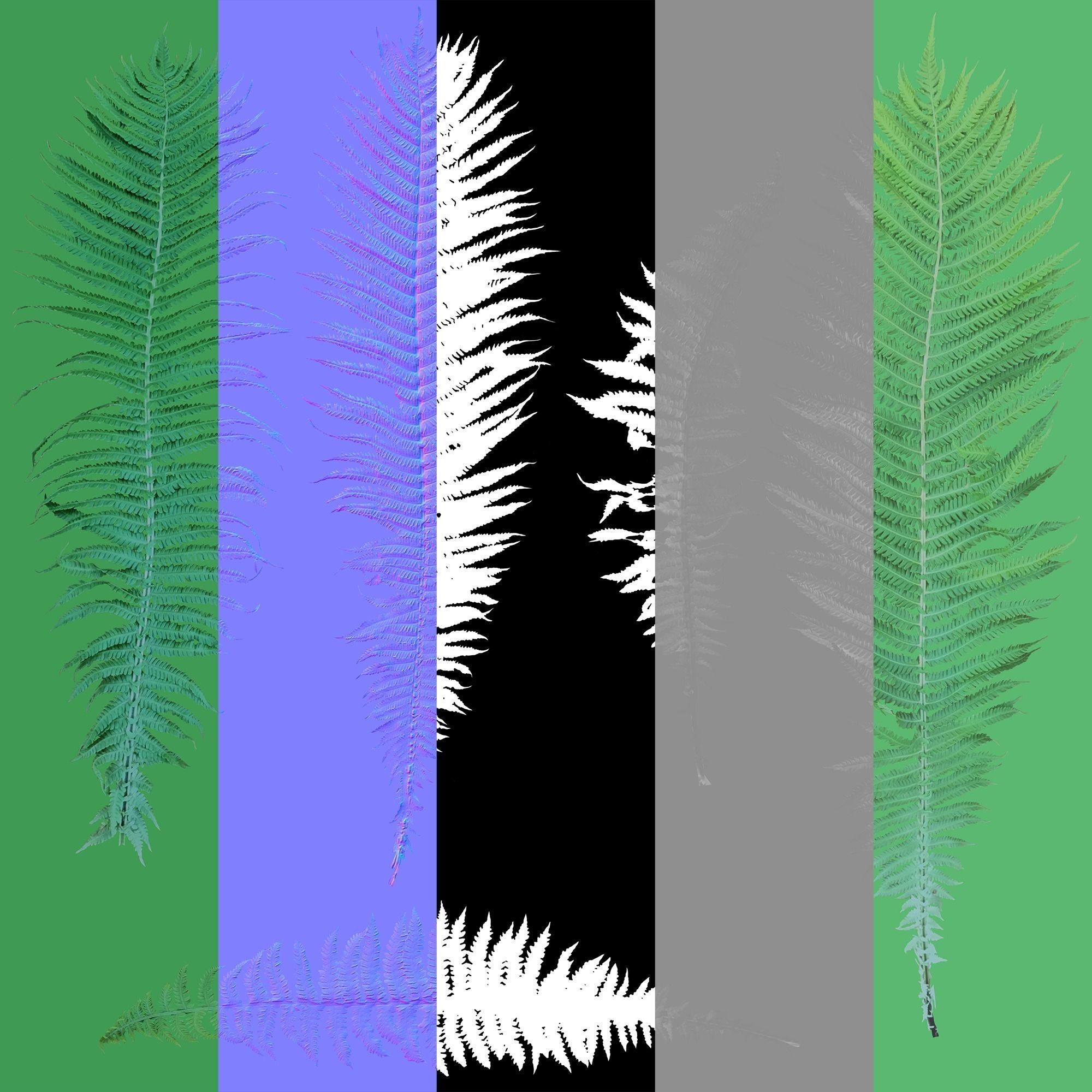 Plant Pack Meadow 3D model_78