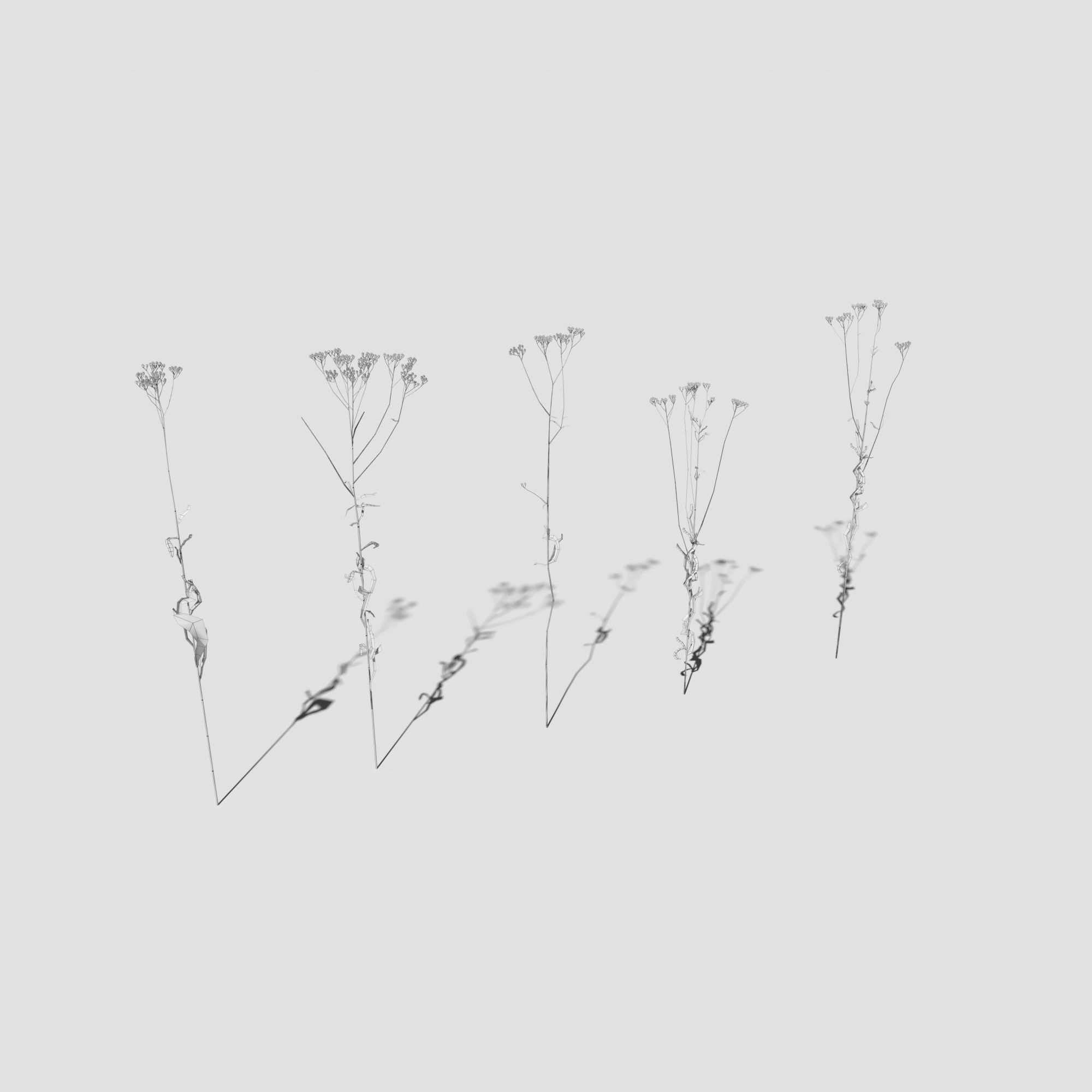 Plant Pack Meadow 3D model_37