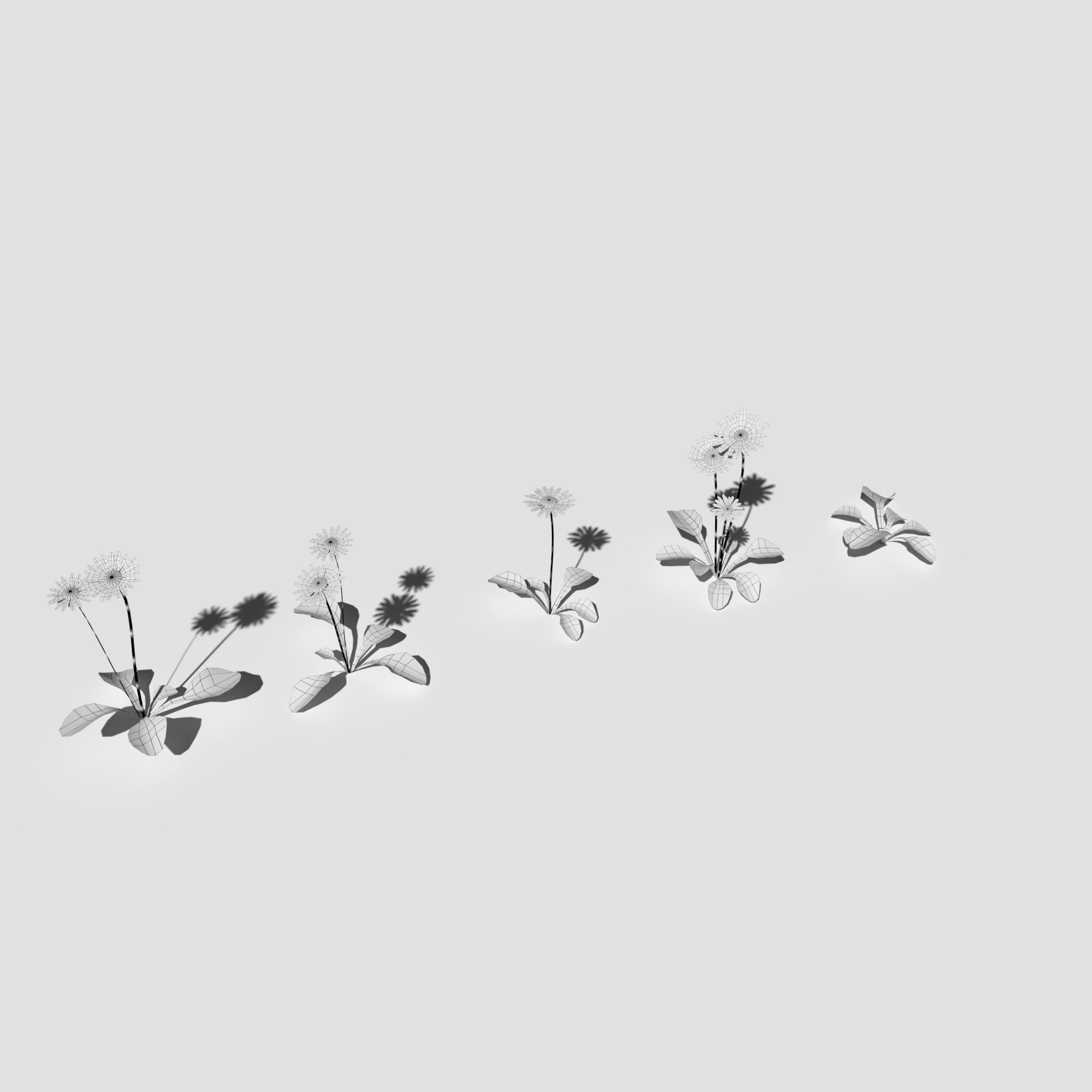 Plant Pack Meadow 3D model_65
