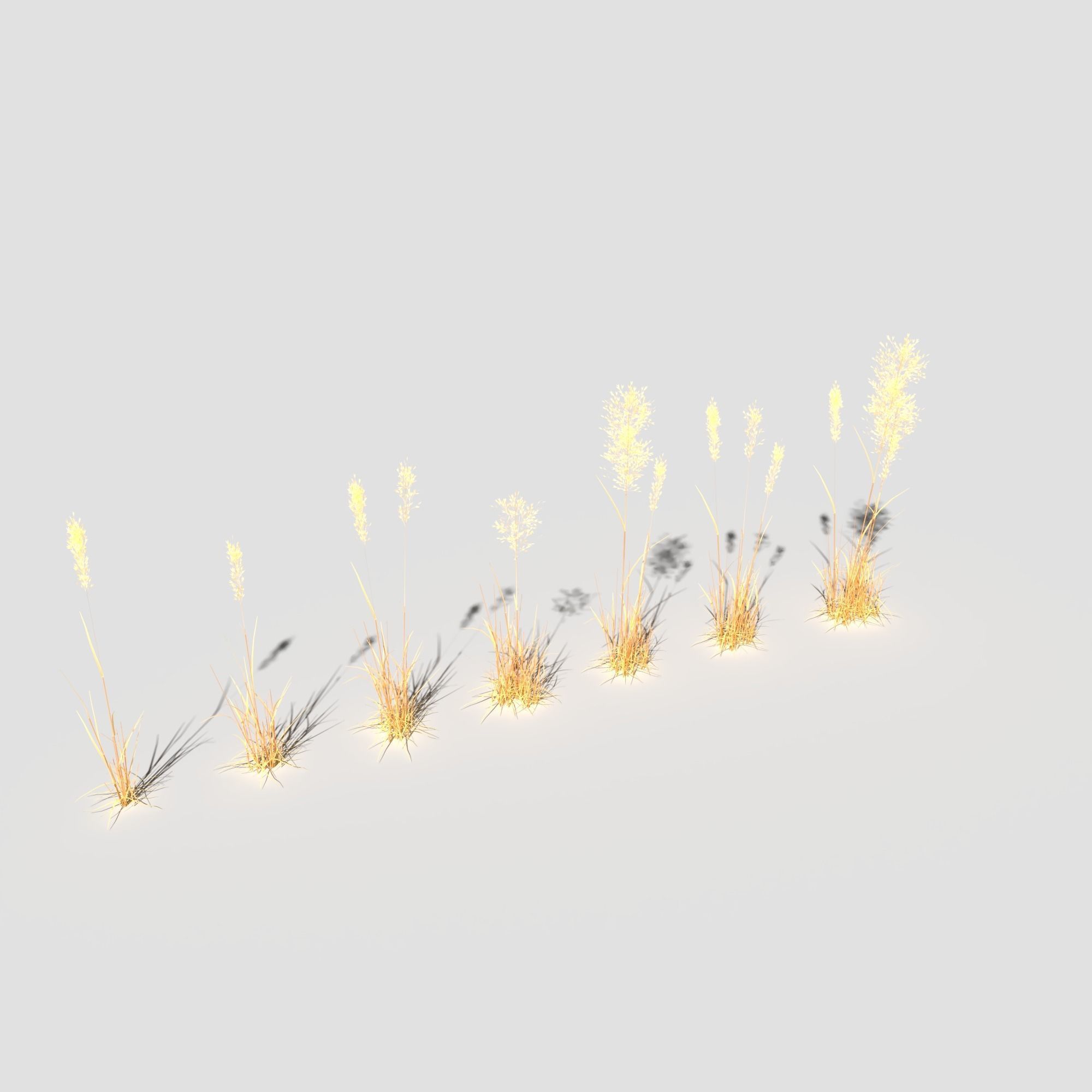 Plant Pack Meadow 3D model_68