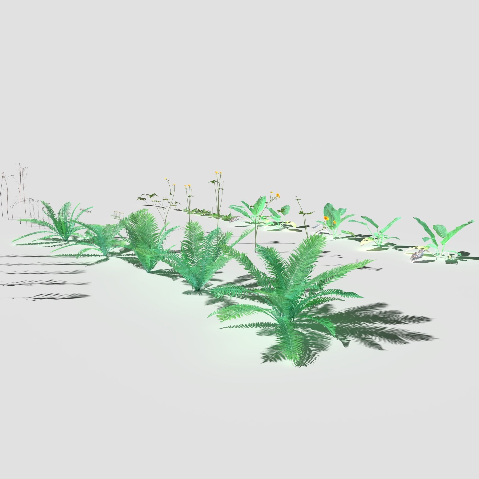 Plant Pack Meadow 3D model_12