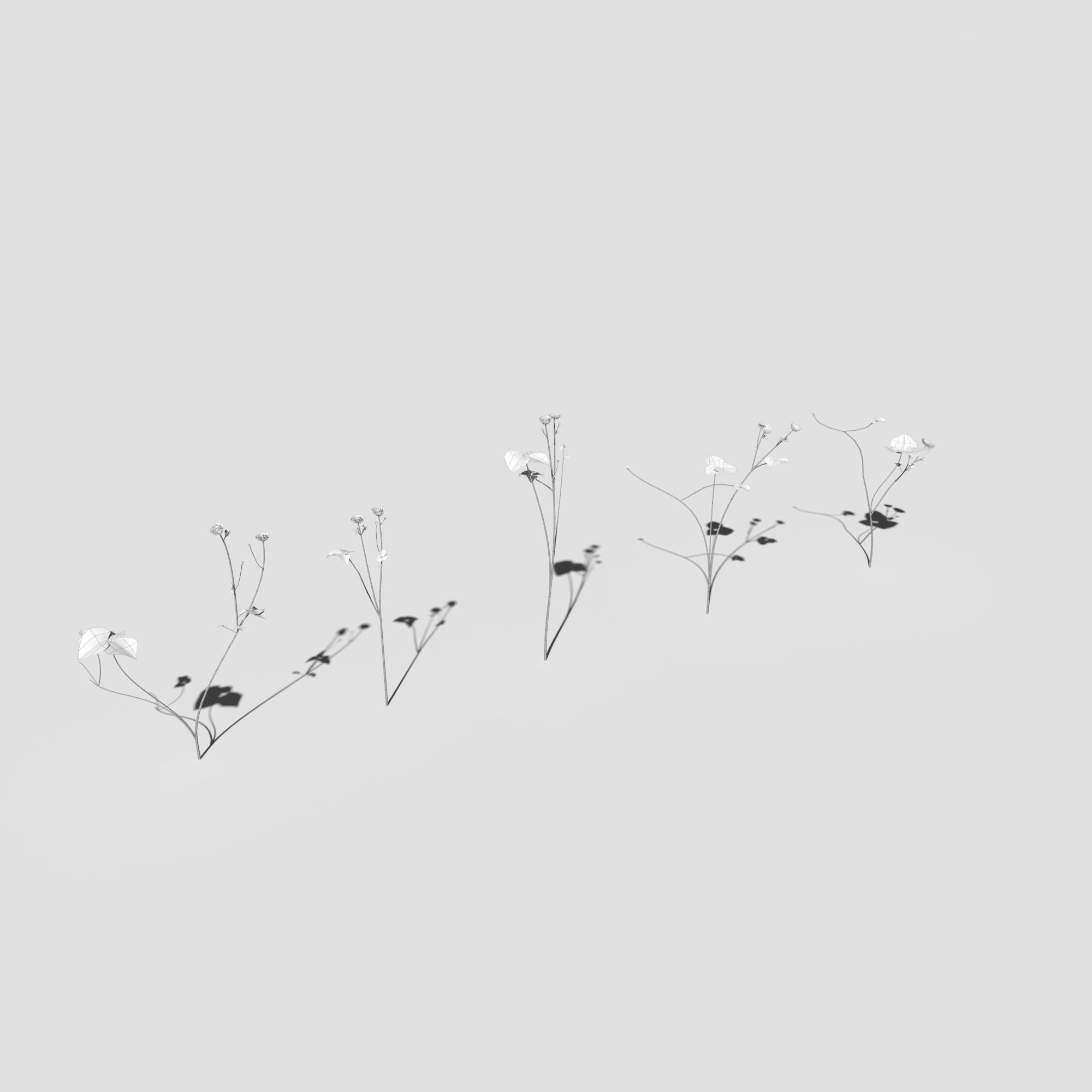 Plant Pack Meadow 3D model_32