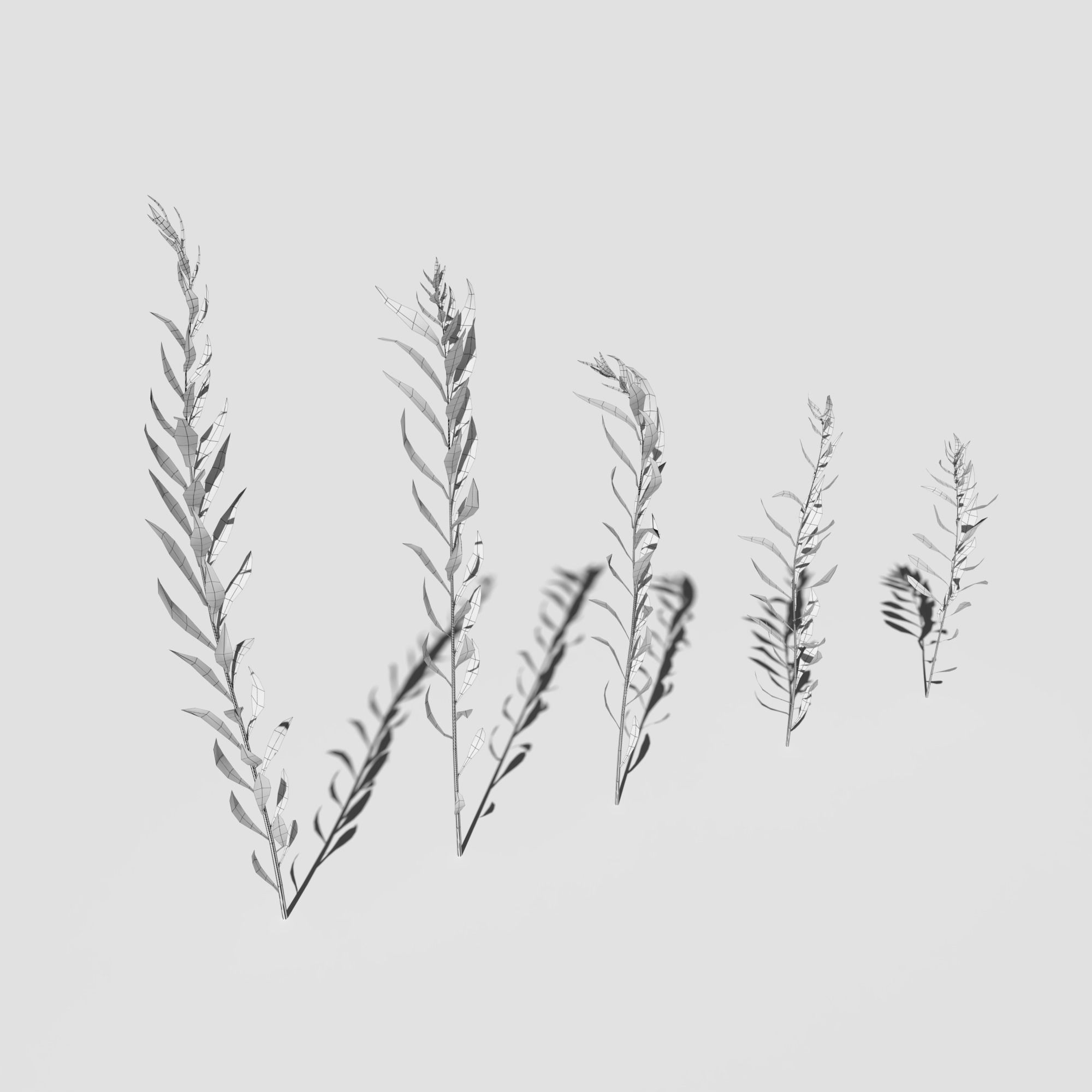 Plant Pack Meadow 3D model_45