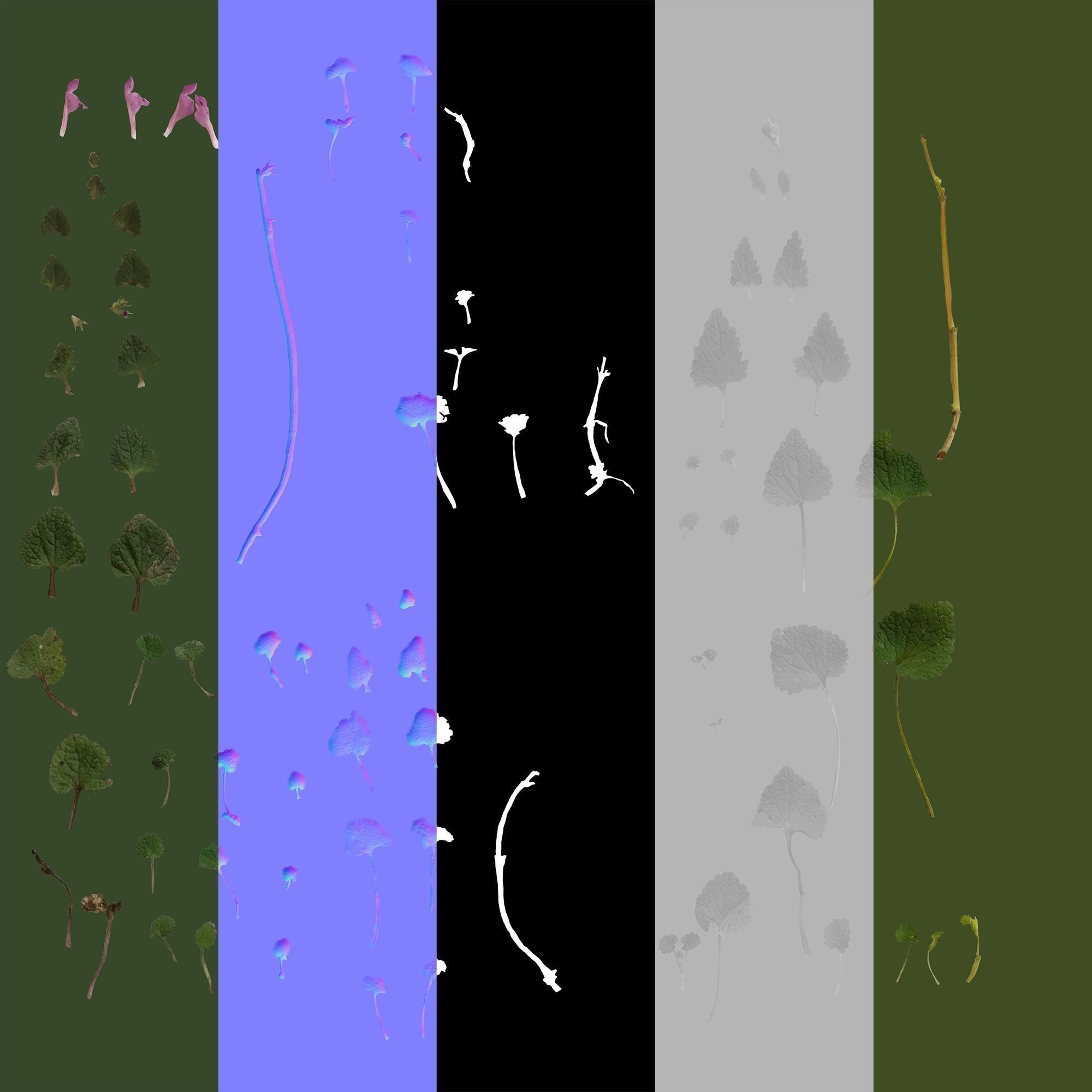 Plant Pack Meadow 3D model_89