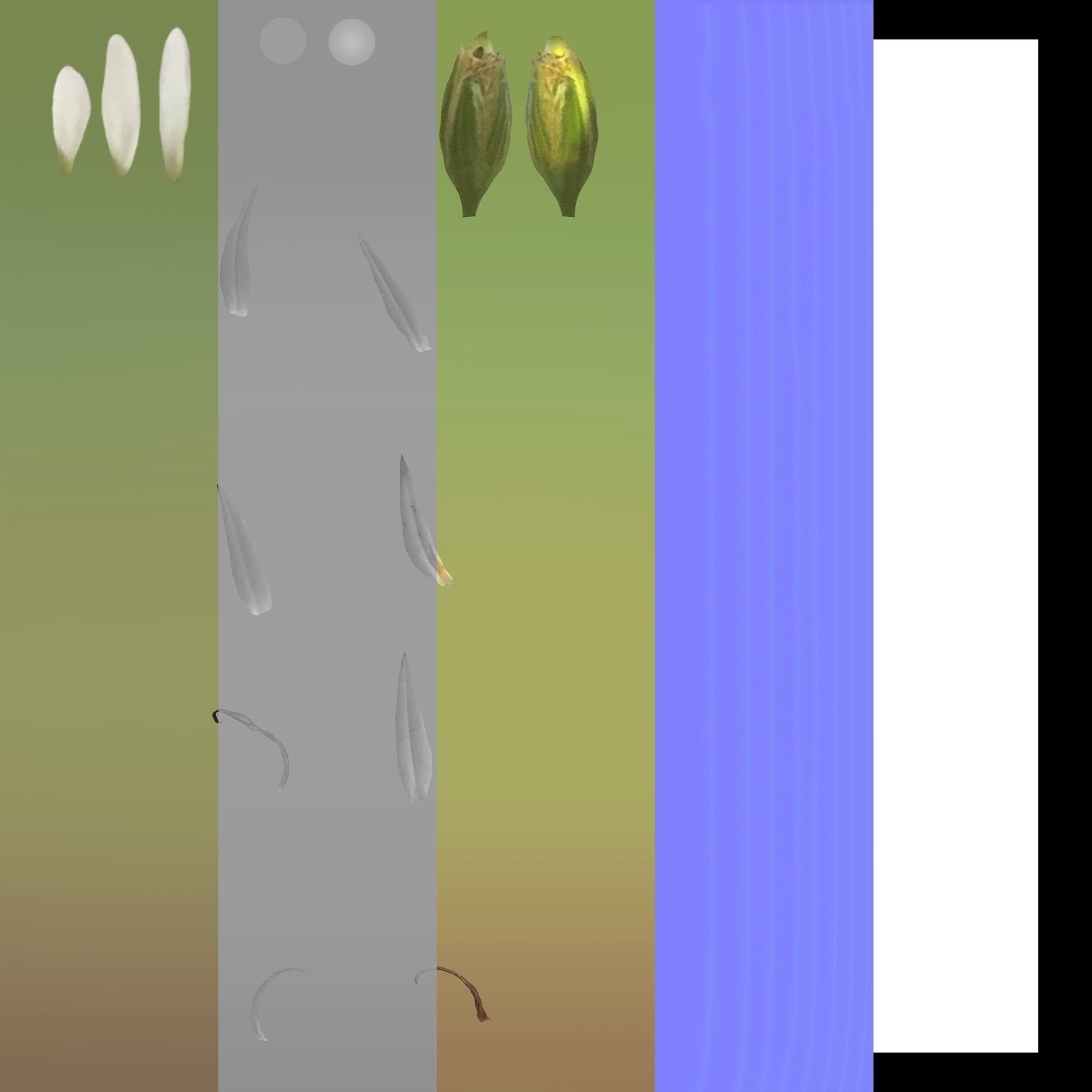 Plant Pack Meadow 3D model_82