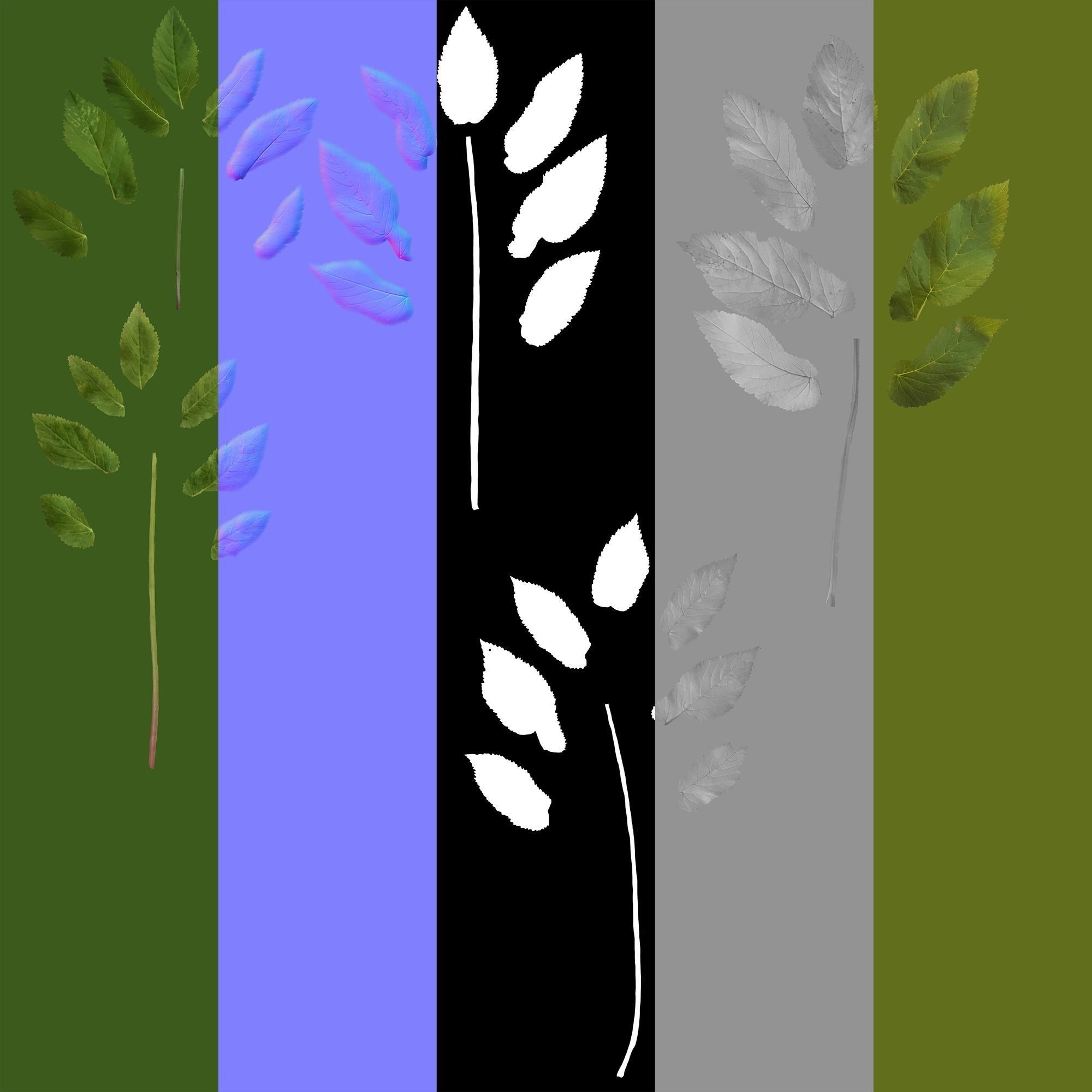 Plant Pack Meadow 3D model_70