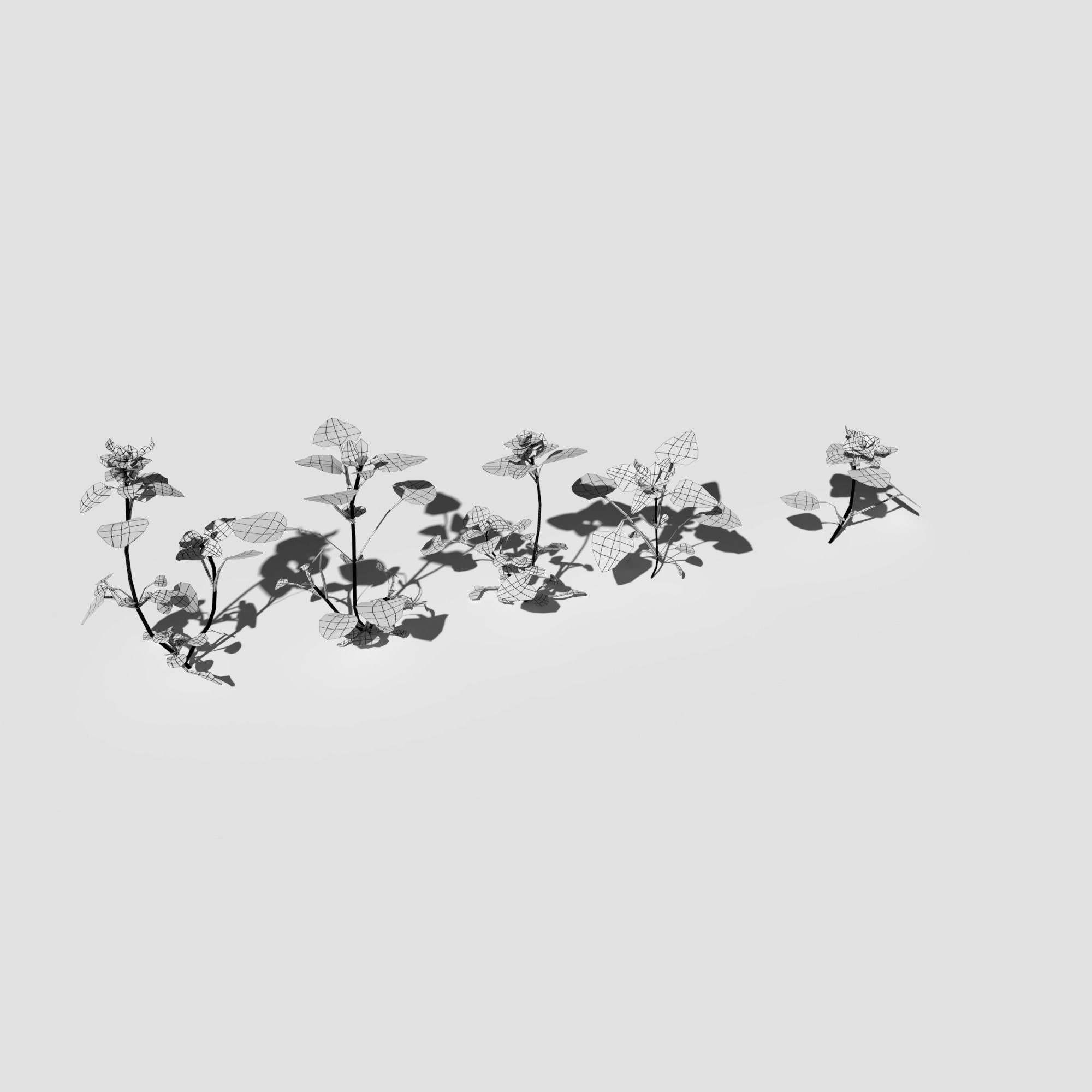 Plant Pack Meadow 3D model_61