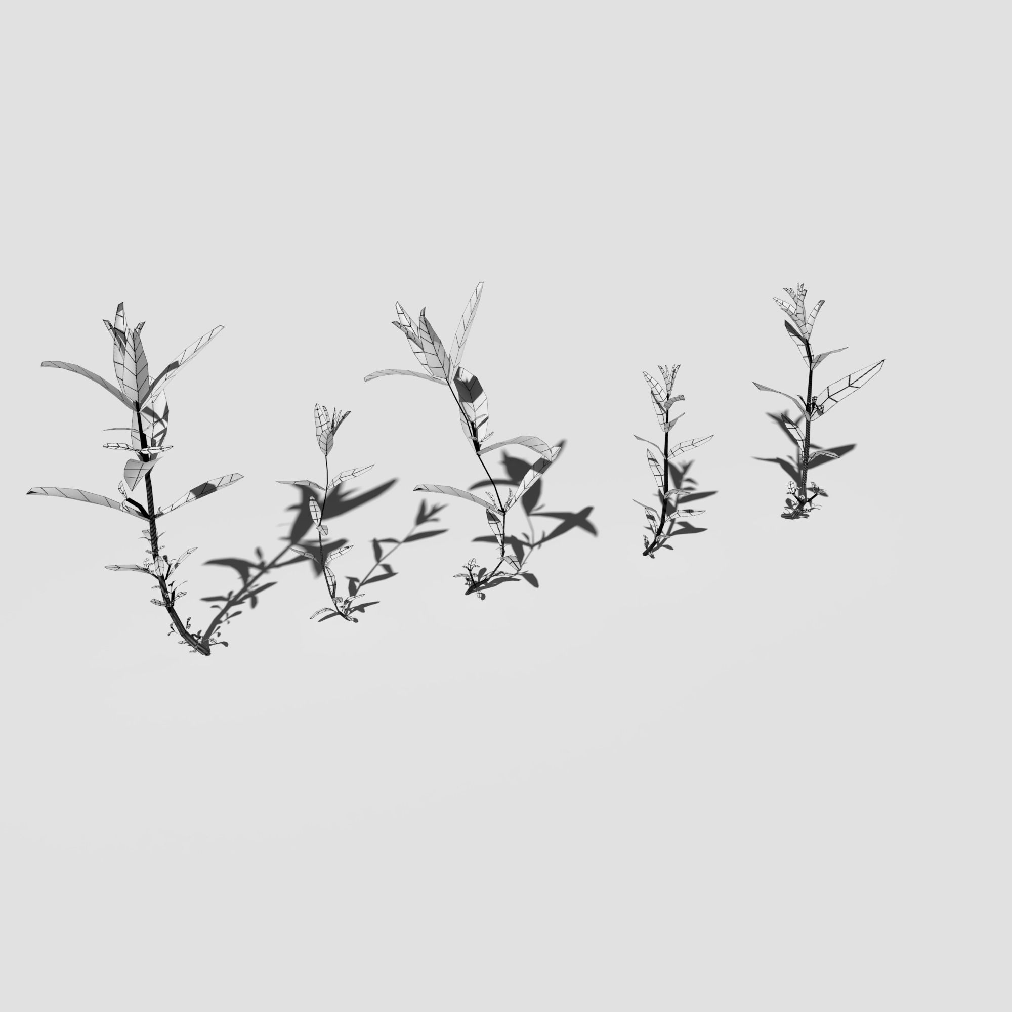 Plant Pack Meadow 3D model_63