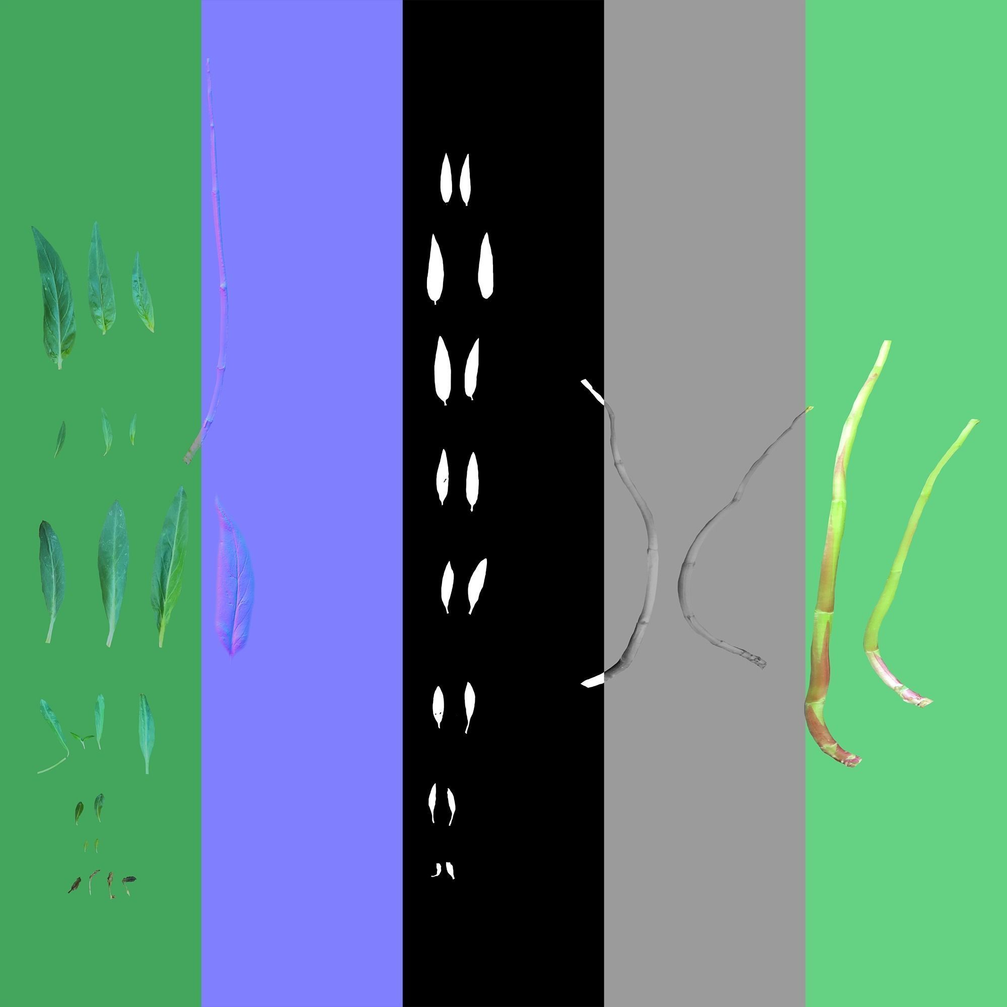 Plant Pack Meadow 3D model_90