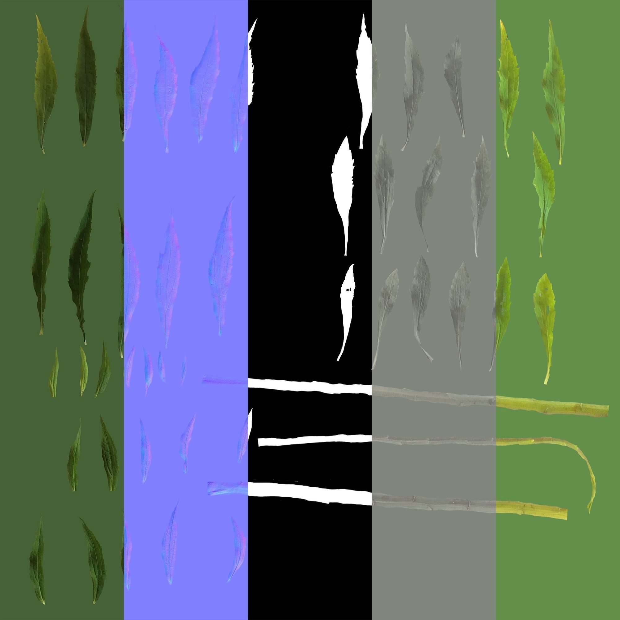 Plant Pack Meadow 3D model_81