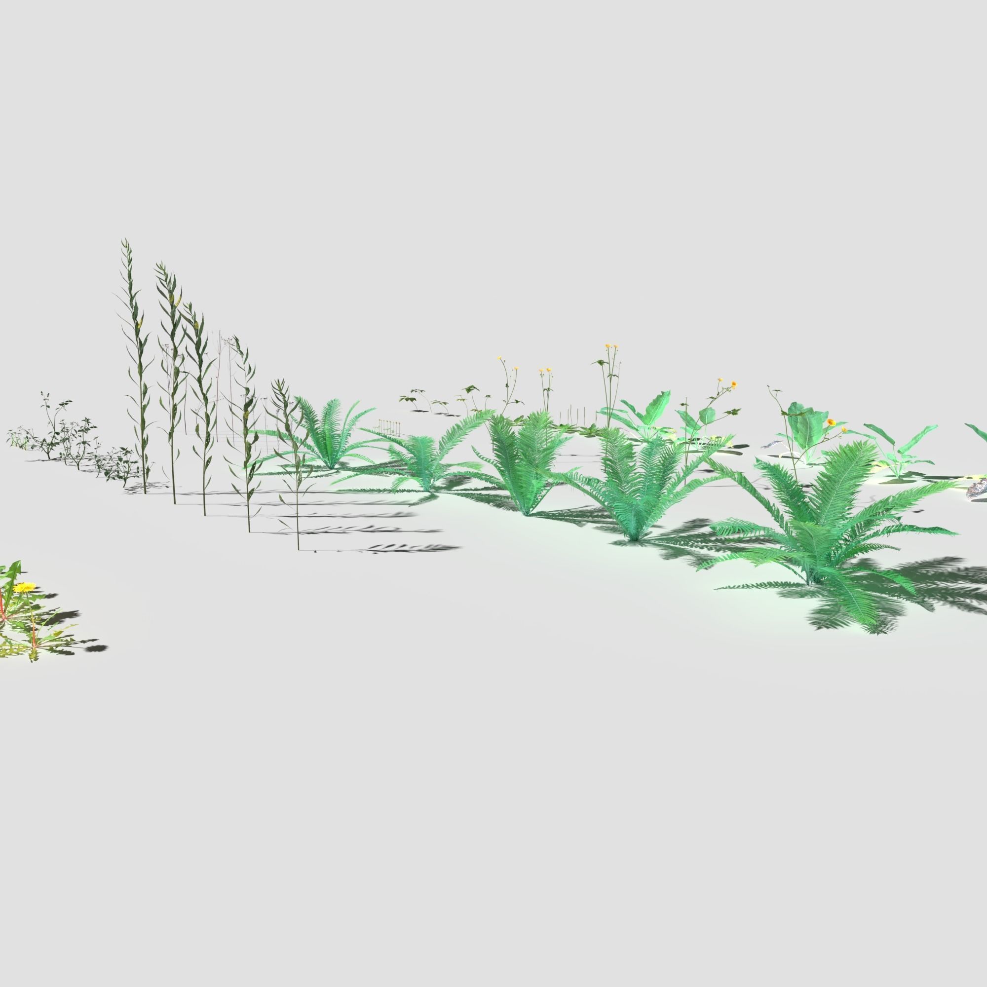 Plant Pack Meadow 3D model_11